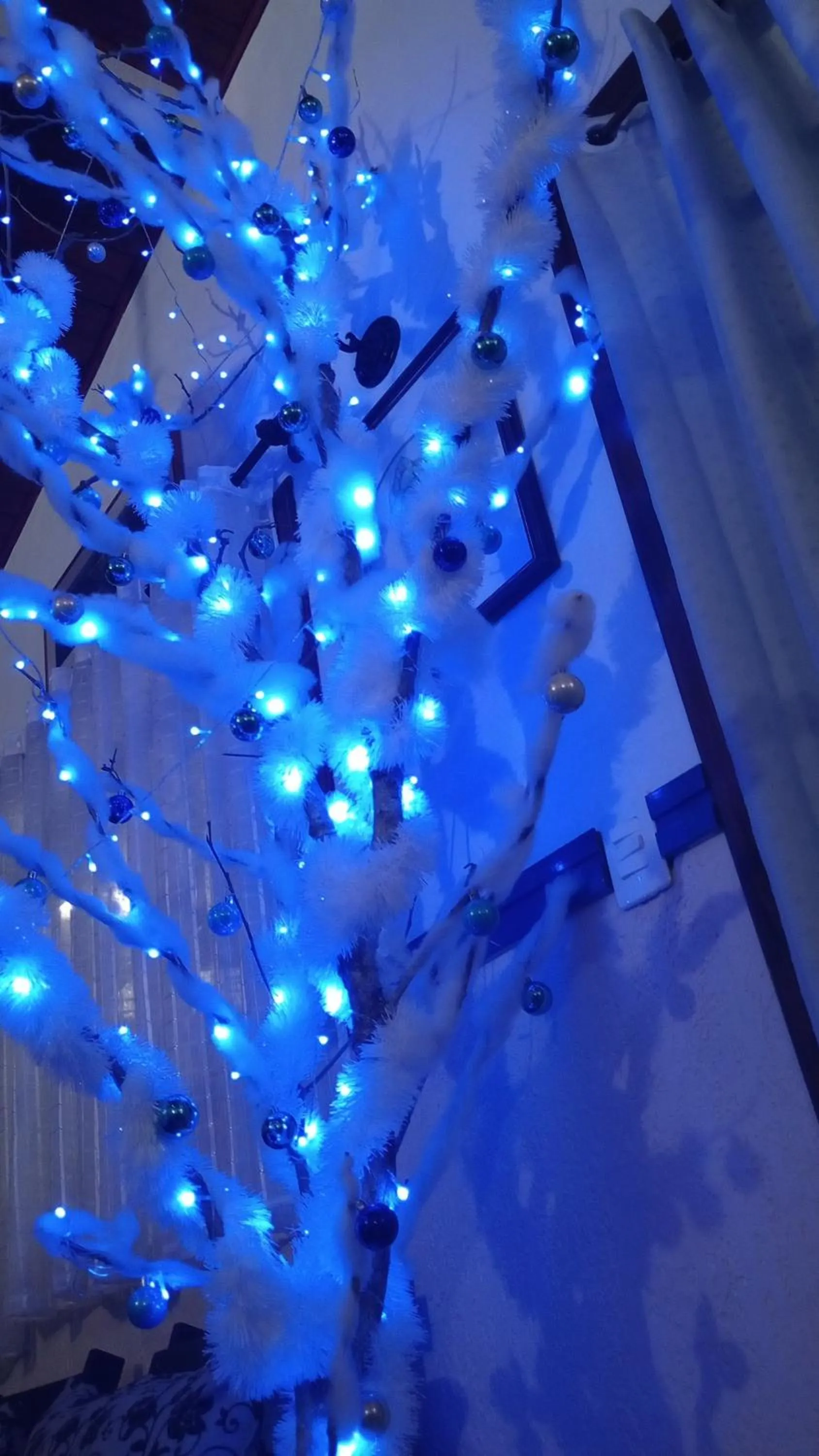 Rancho da Raposa em Campos do Jordão