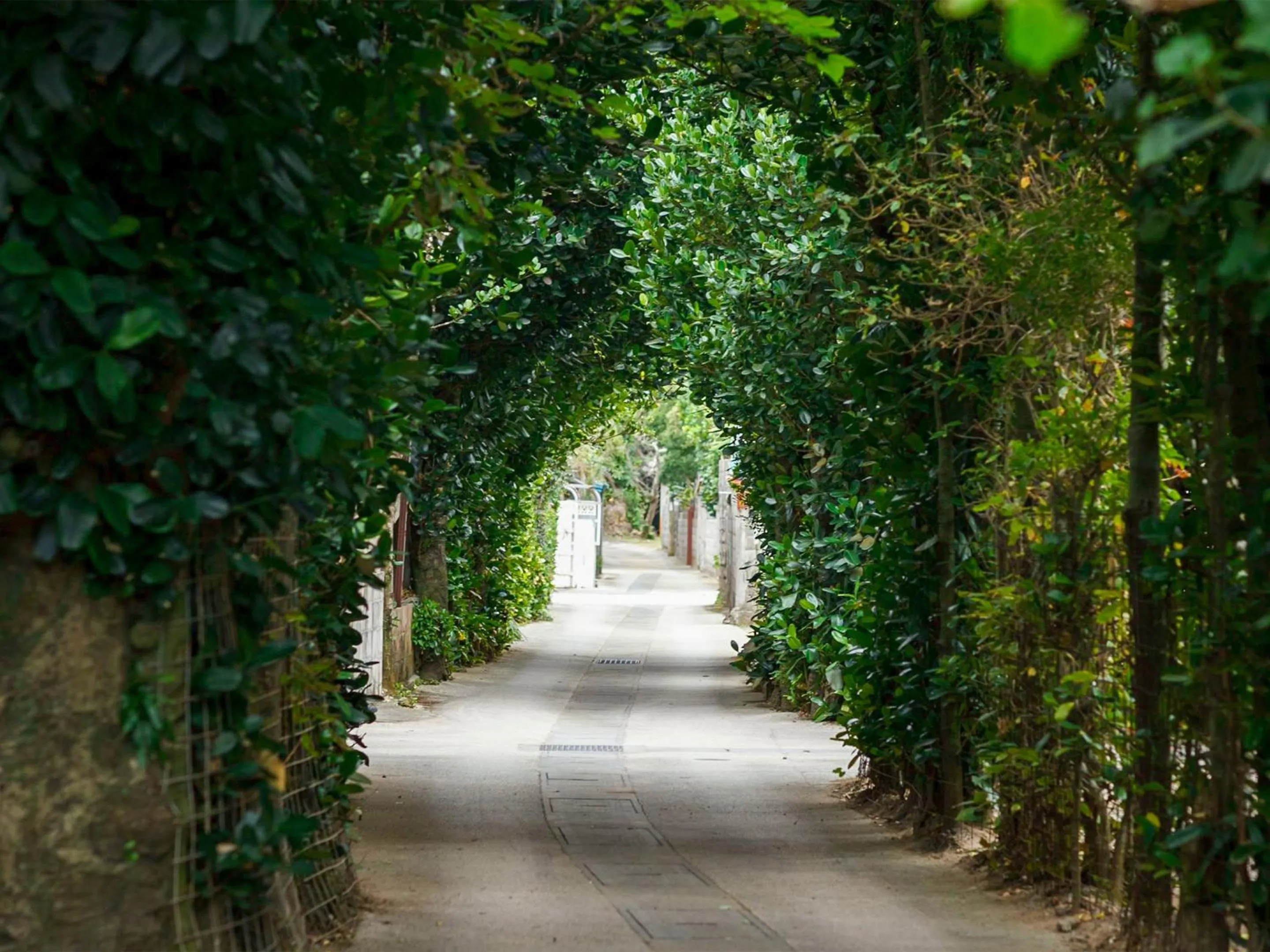 Off site in Akabana Inn