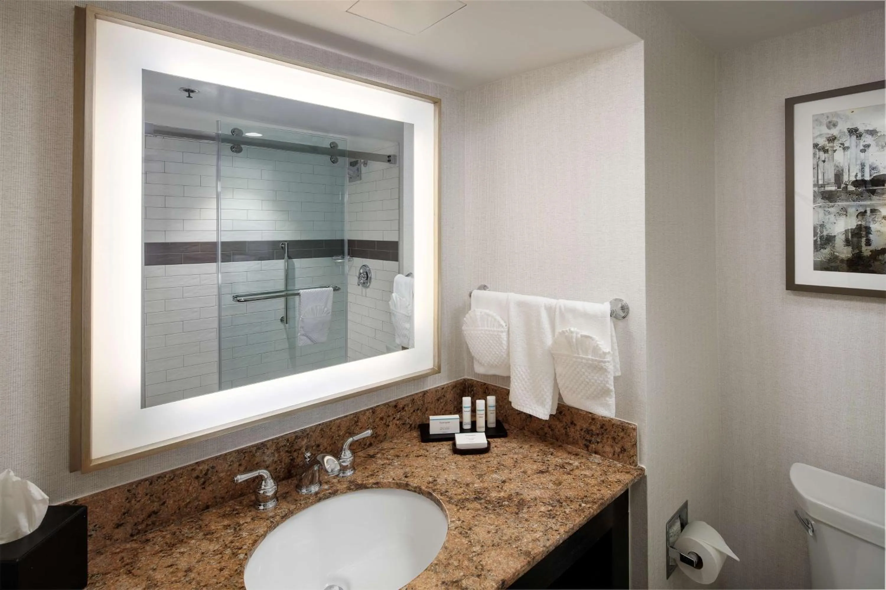 Bathroom in Embassy Suites Tysons Corner