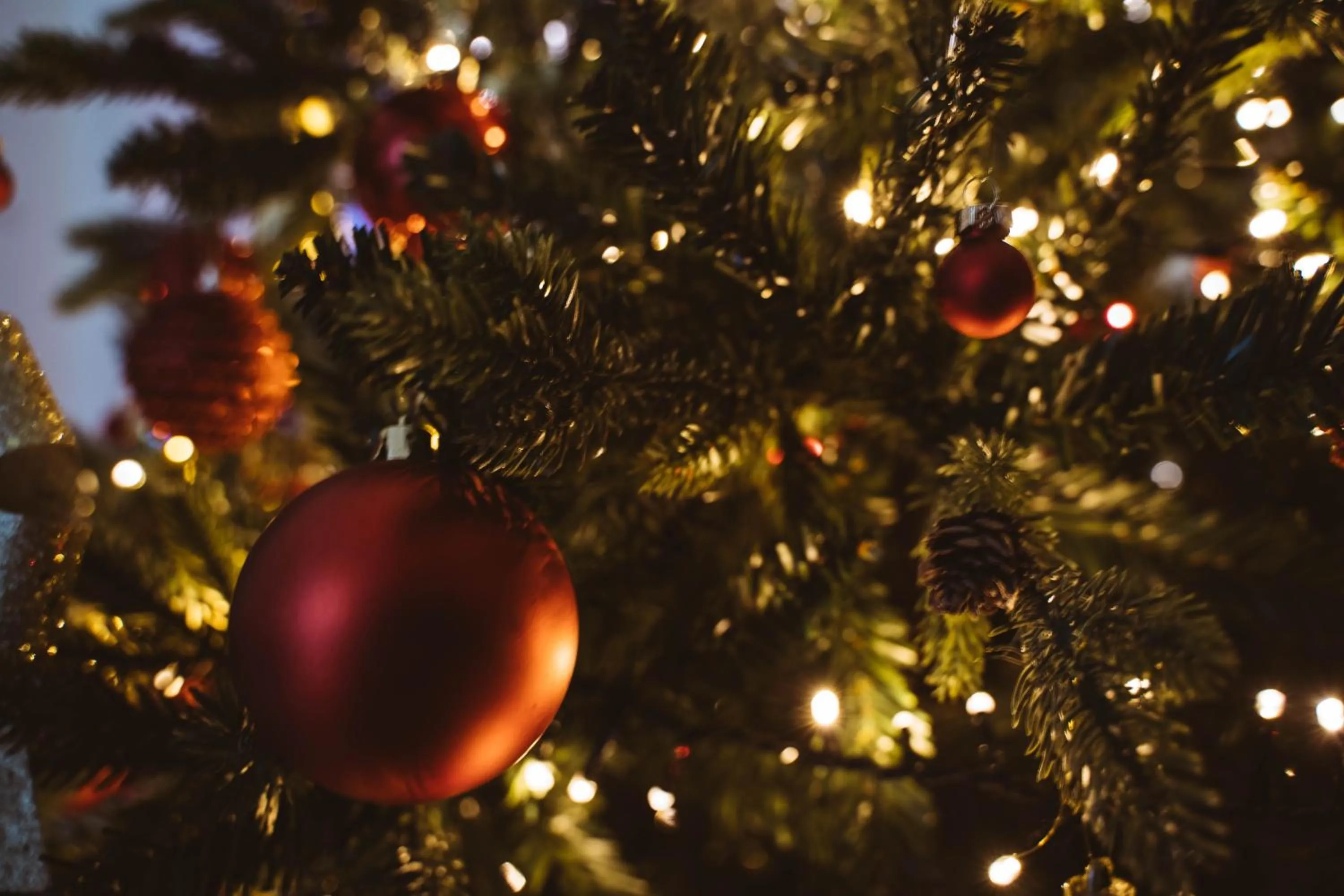 Decorative detail in Fauzia B&B