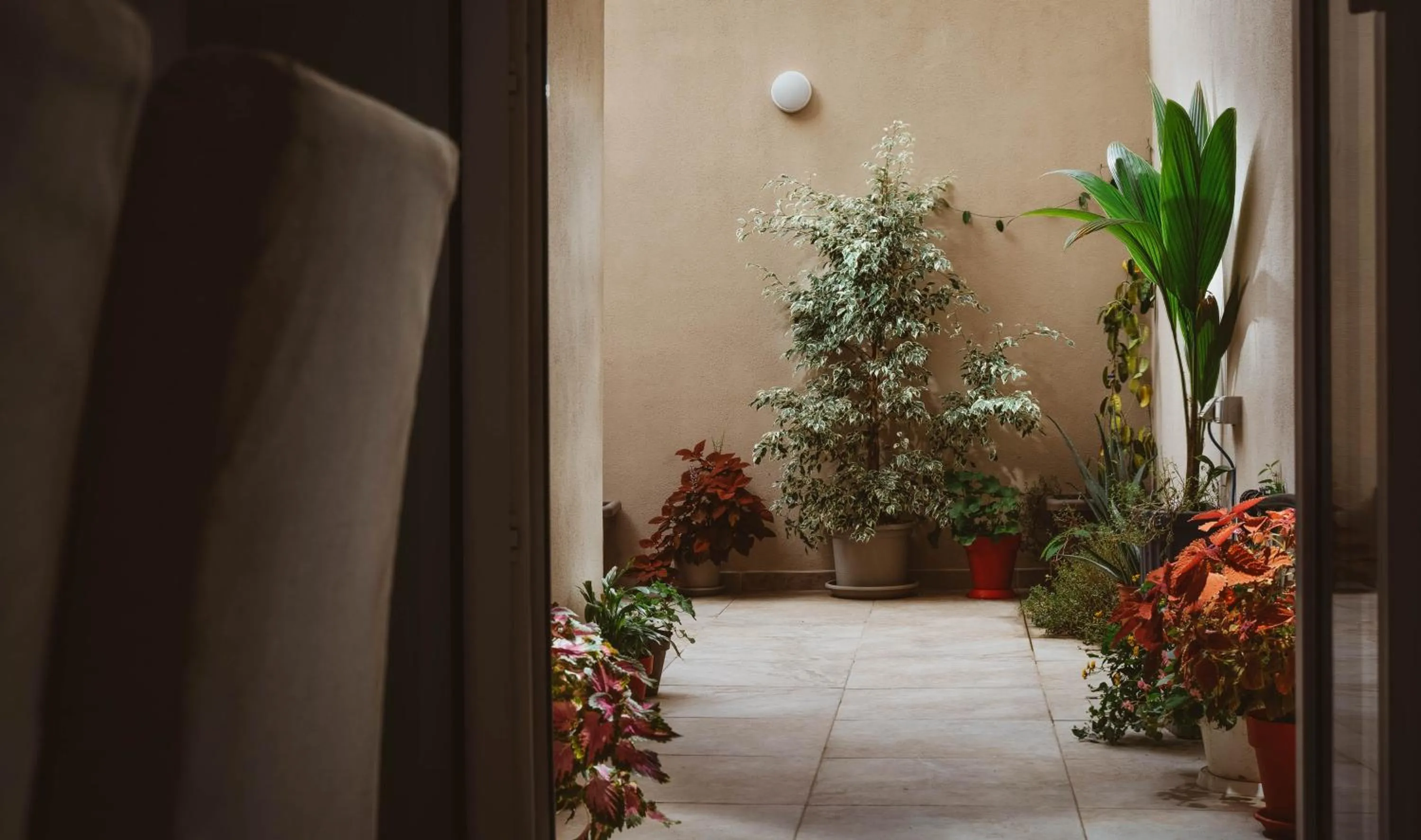 Garden in Fauzia B&B