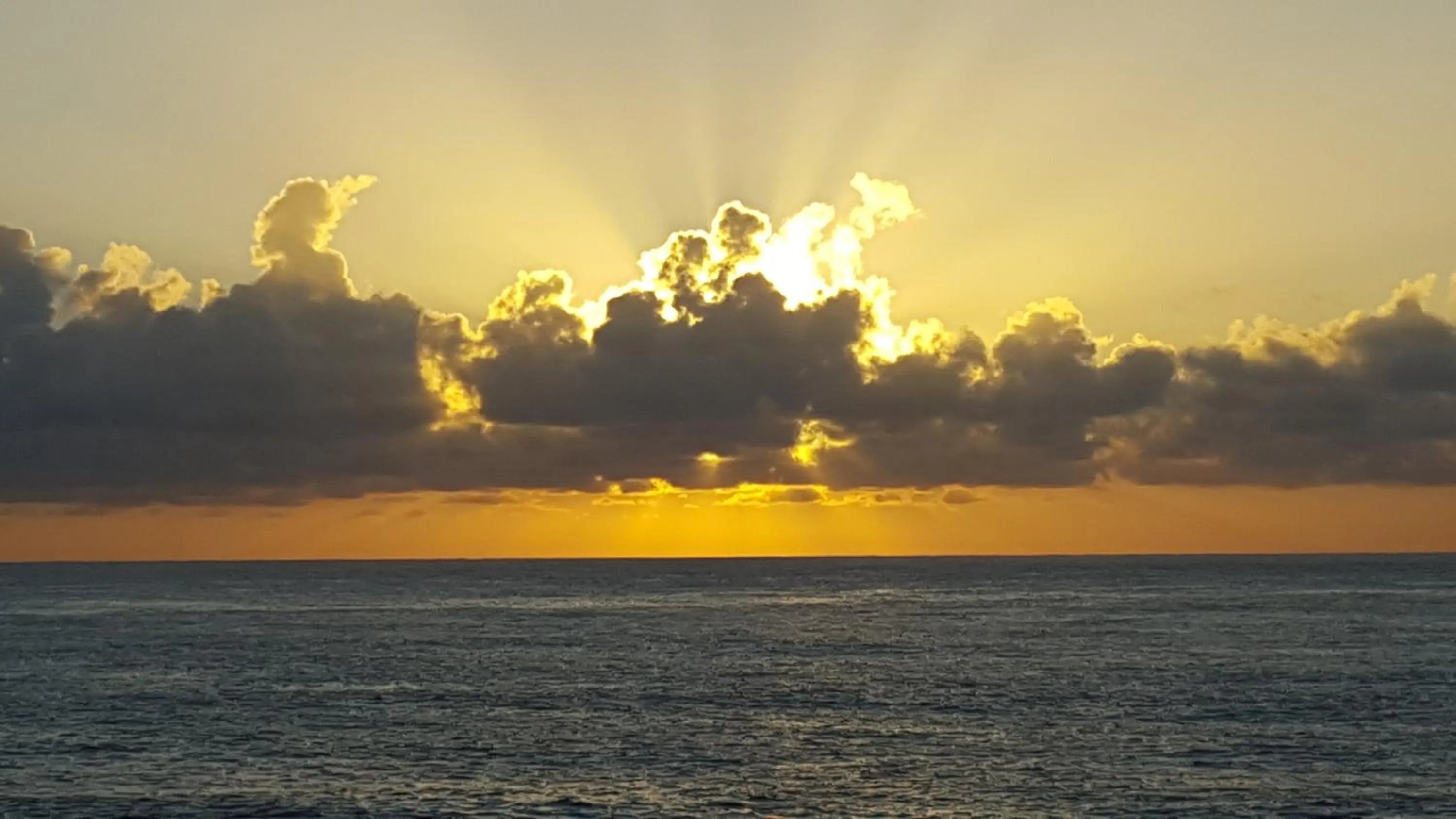 Natural landscape in Hotel Coral Reef