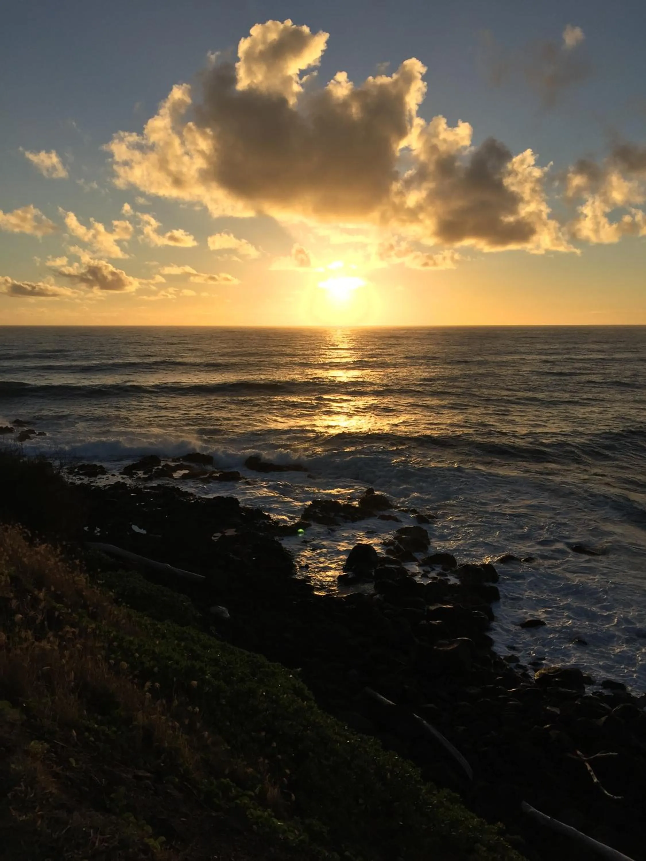 Natural landscape in Hotel Coral Reef