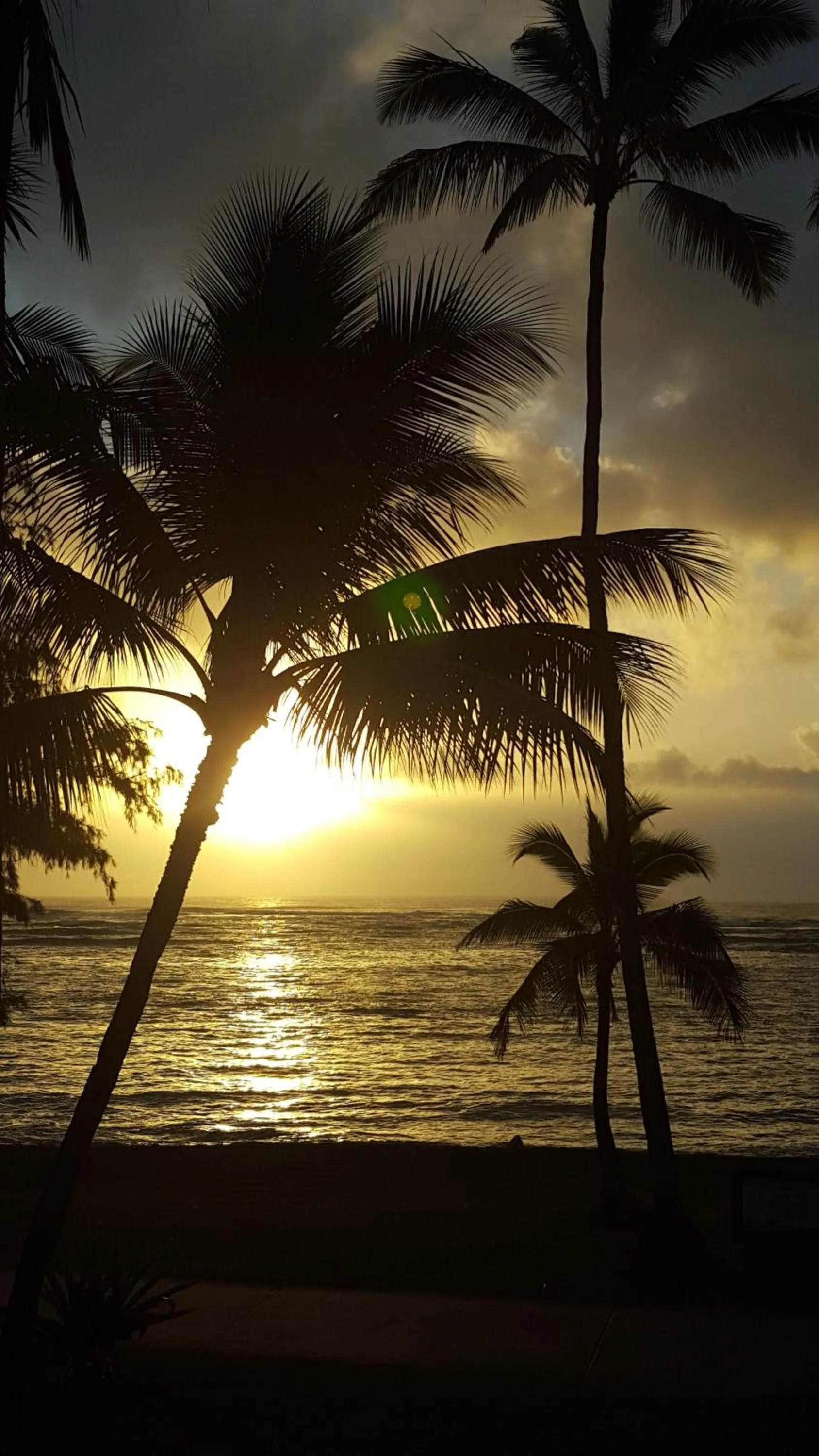 Natural landscape in Hotel Coral Reef