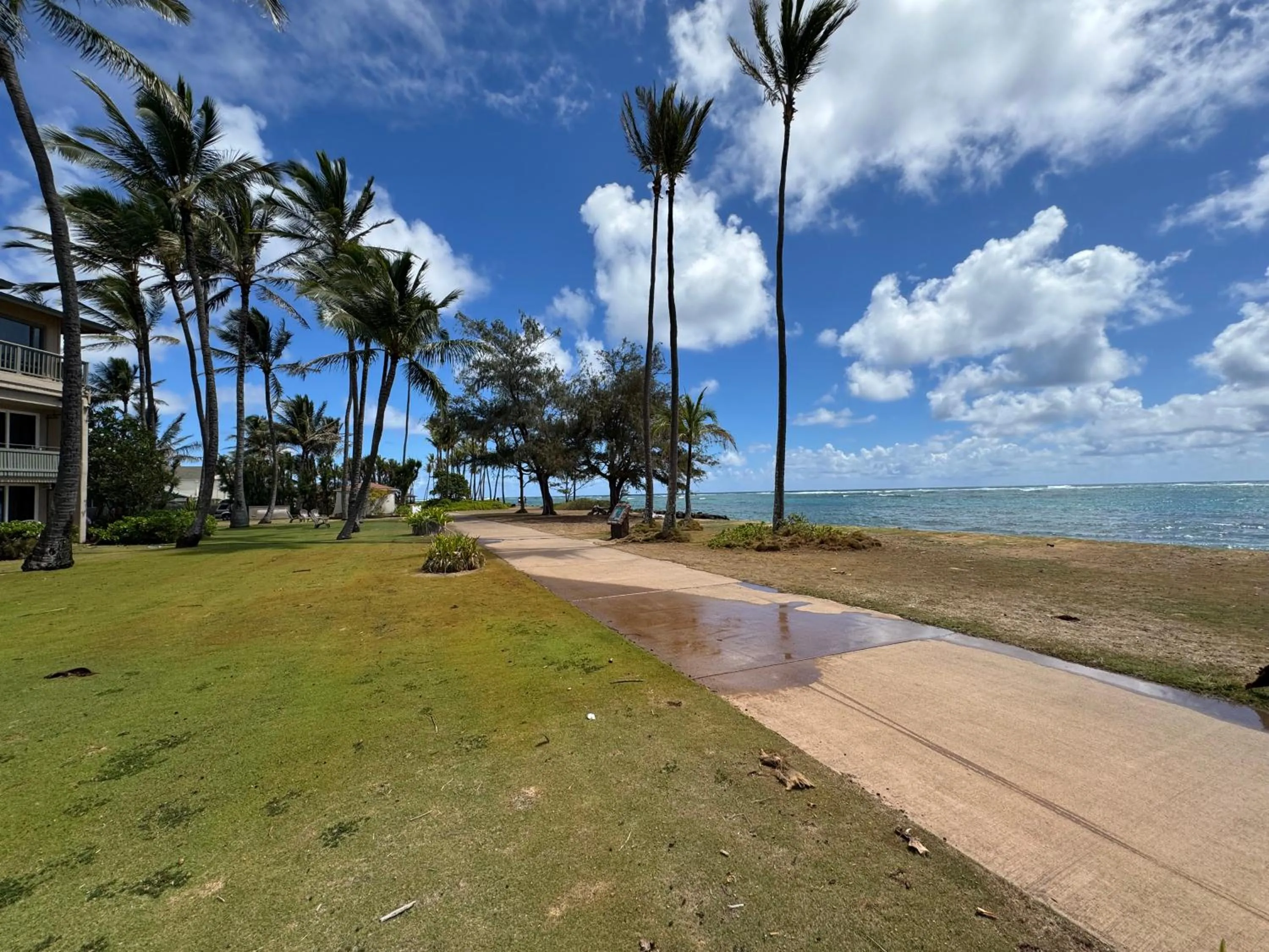 View (from property/room) in Hotel Coral Reef