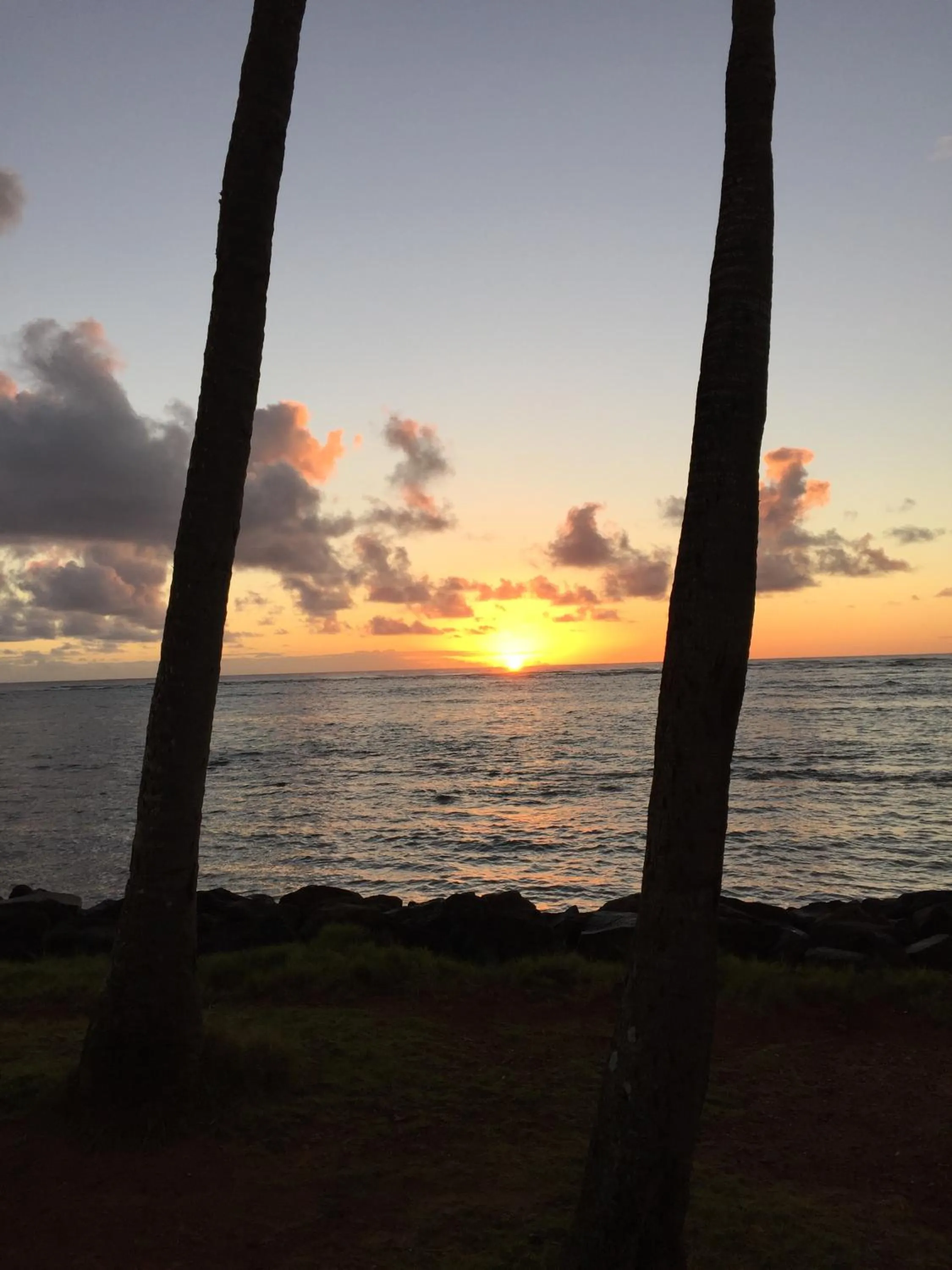 Natural landscape in Hotel Coral Reef