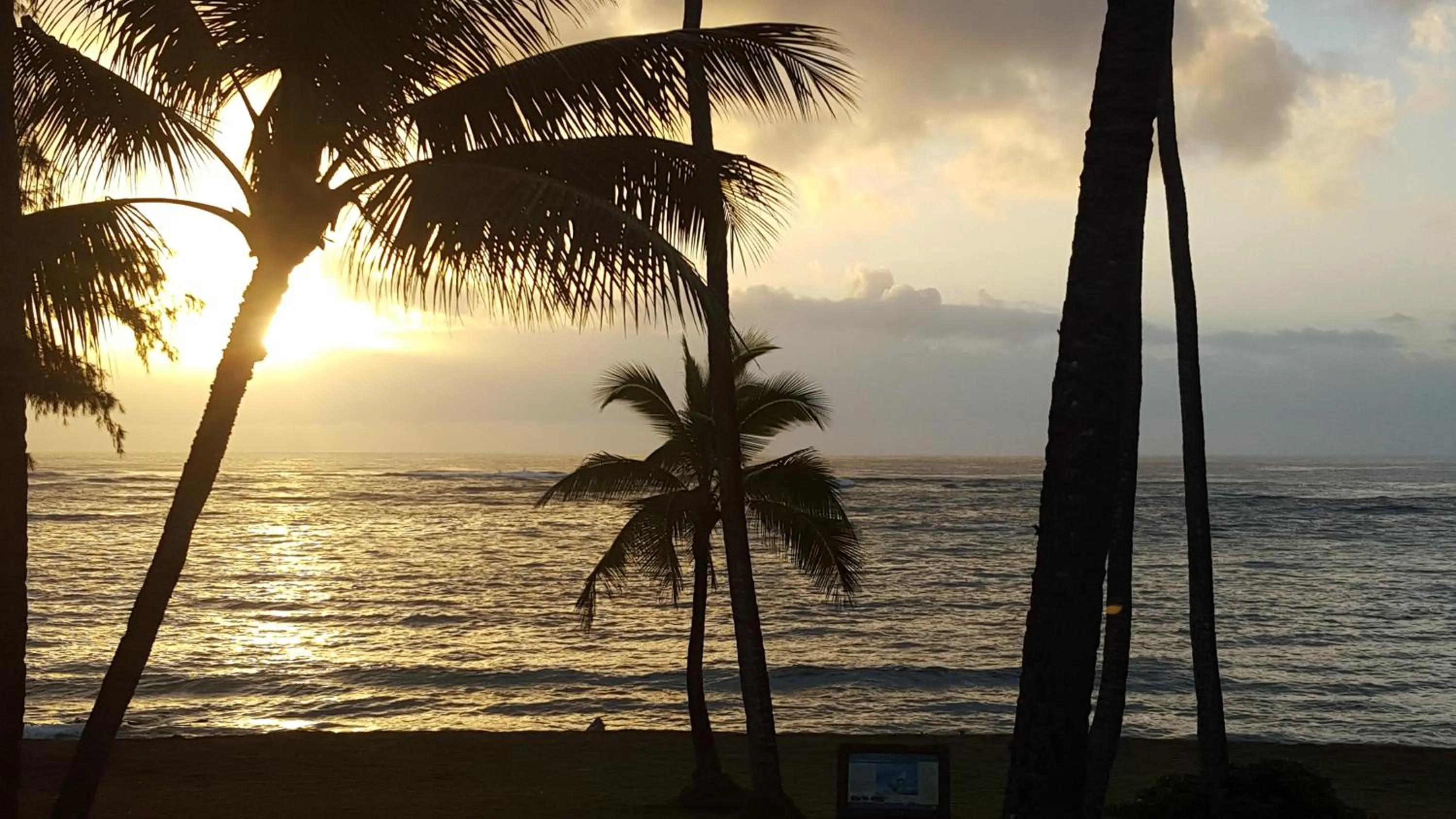 Natural landscape in Hotel Coral Reef