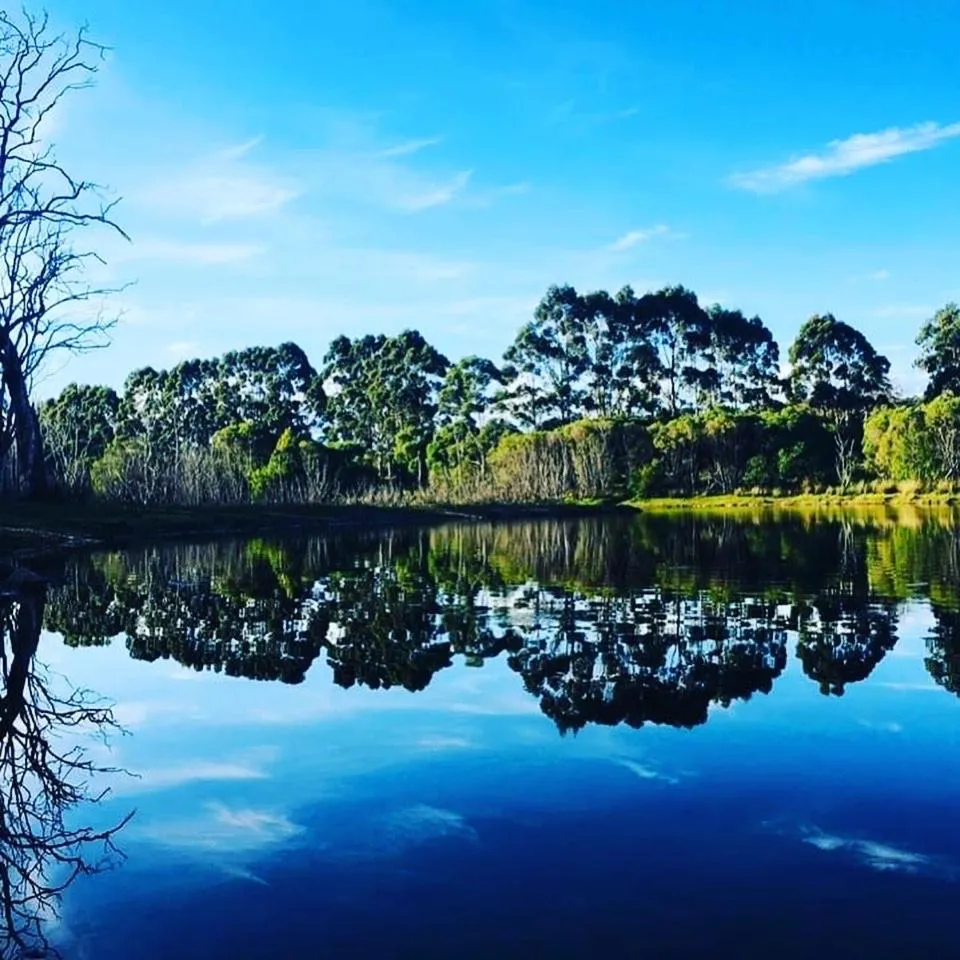 Harmony Forest Cottages & Lake side Lodge