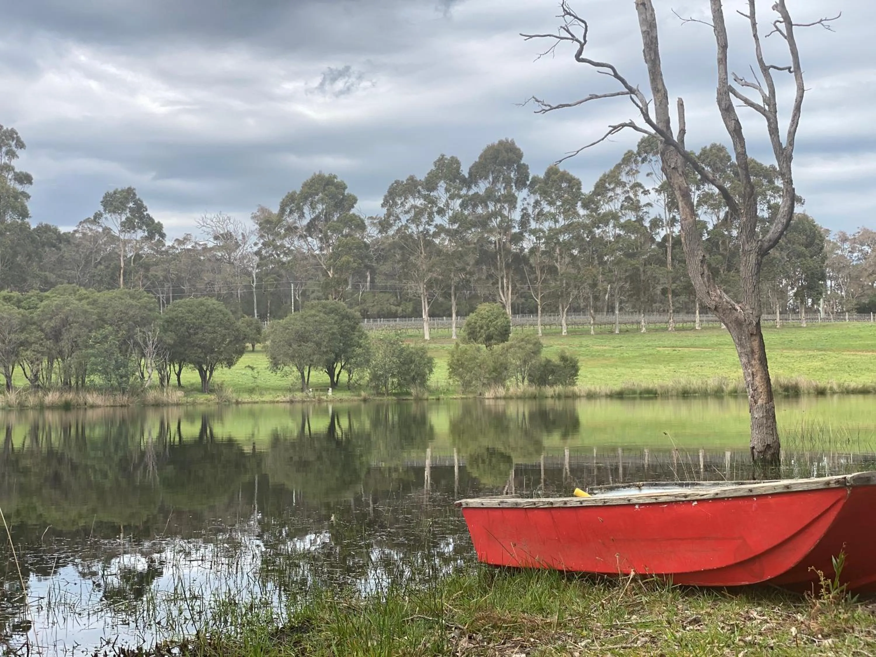 Natural landscape in Harmony Forest Cottages & Lake side Lodge