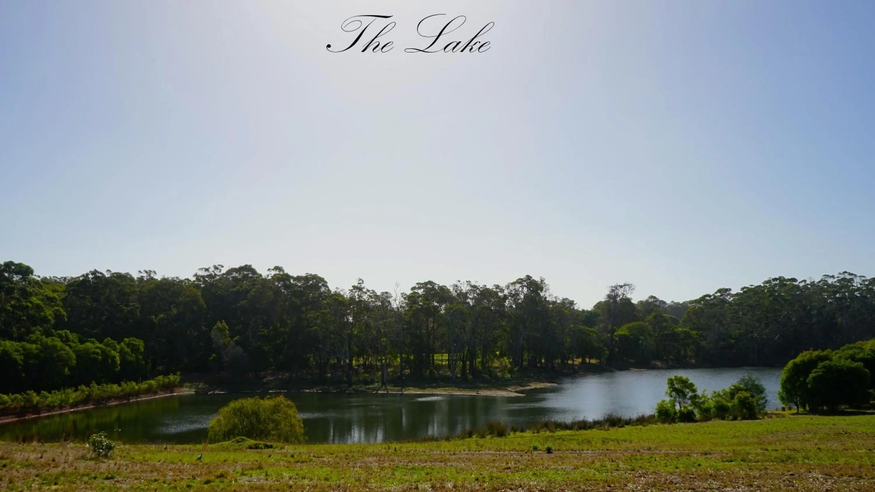 Natural landscape in Harmony Forest Cottages & Lake side Lodge