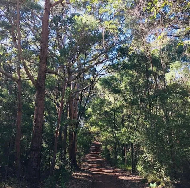 Activities in Harmony Forest Cottages & Lake side Lodge