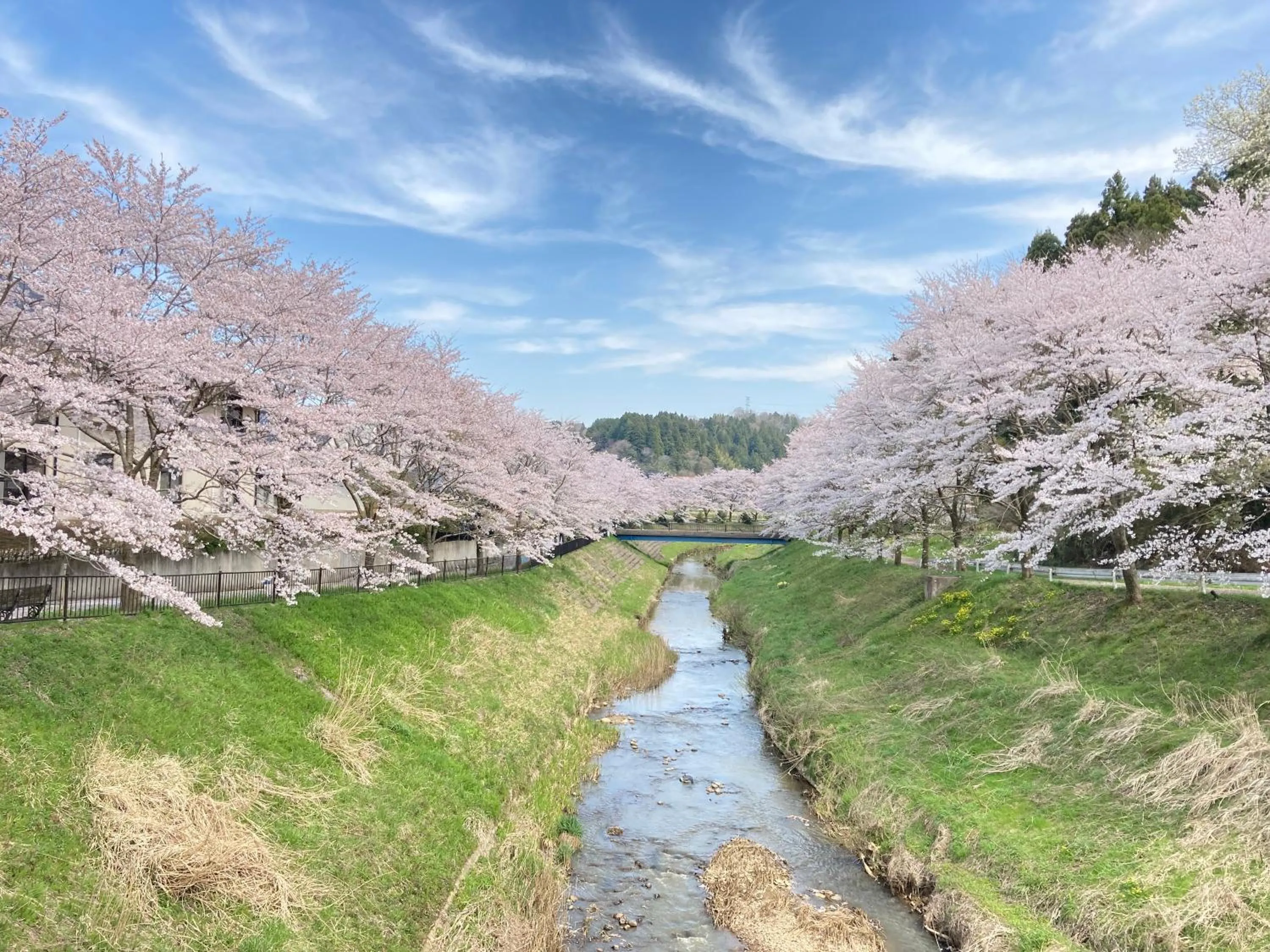 Spring in Guesthouse Namaste