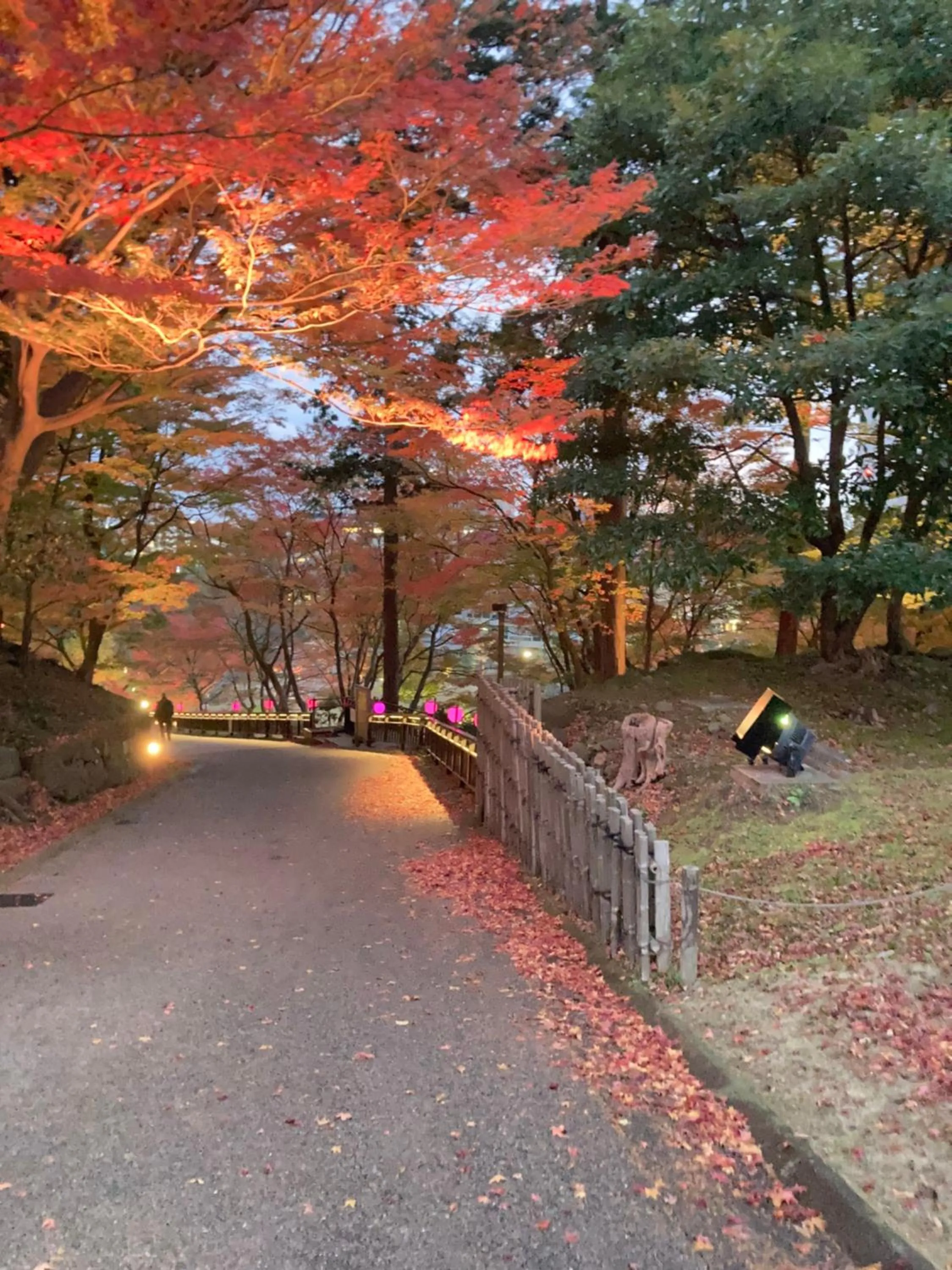 Autumn in Guesthouse Namaste