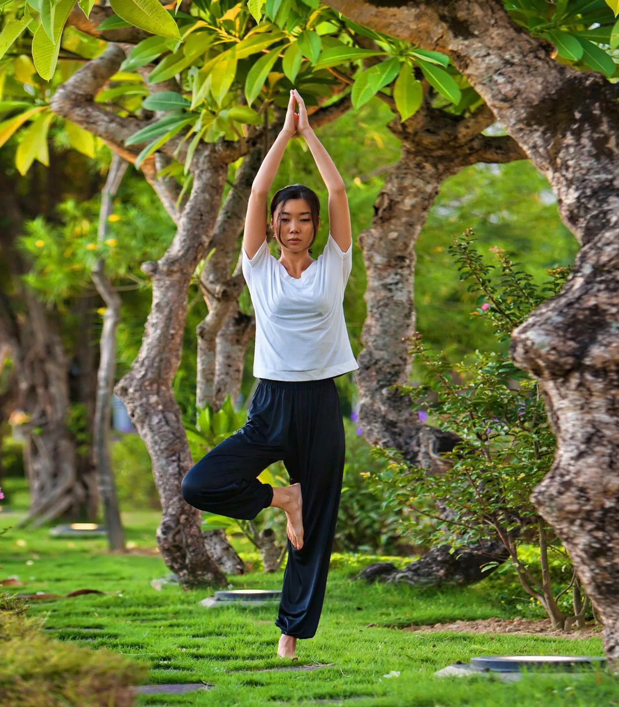 Activities in Indochine Palace
