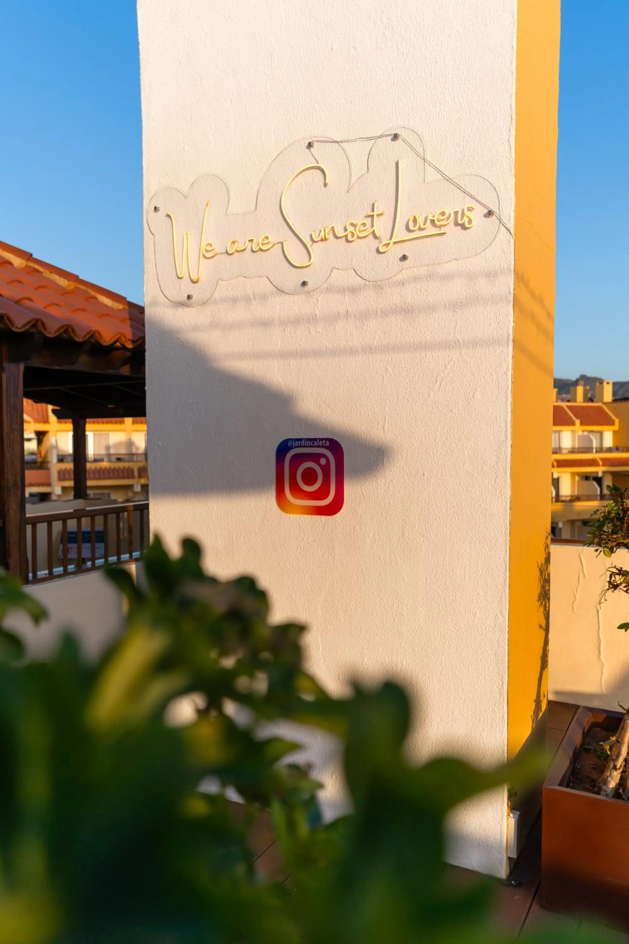 Area and facilities in HOVIMA Jardin Caleta