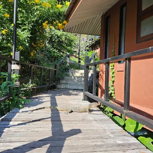 Animals in Thanya Beach Resort - SHA Plus