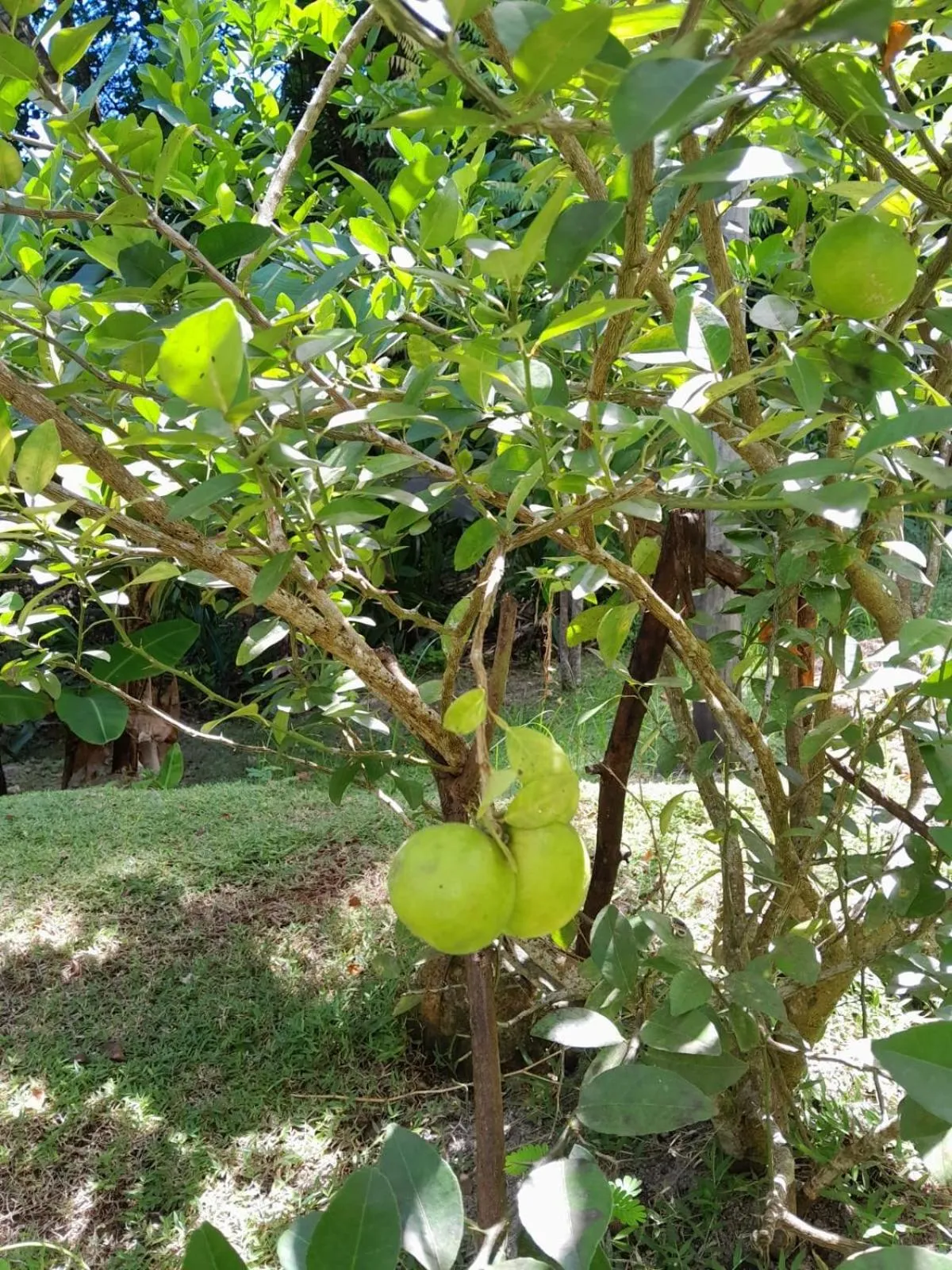 Spring in Kanasuk Self catering Apartments