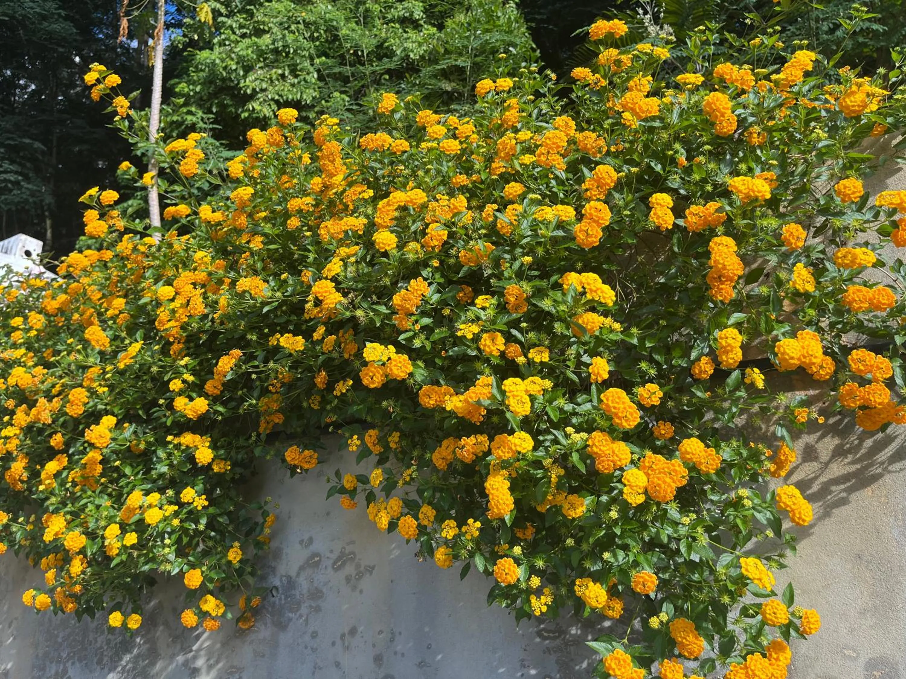 Spring in Kanasuk Self catering Apartments