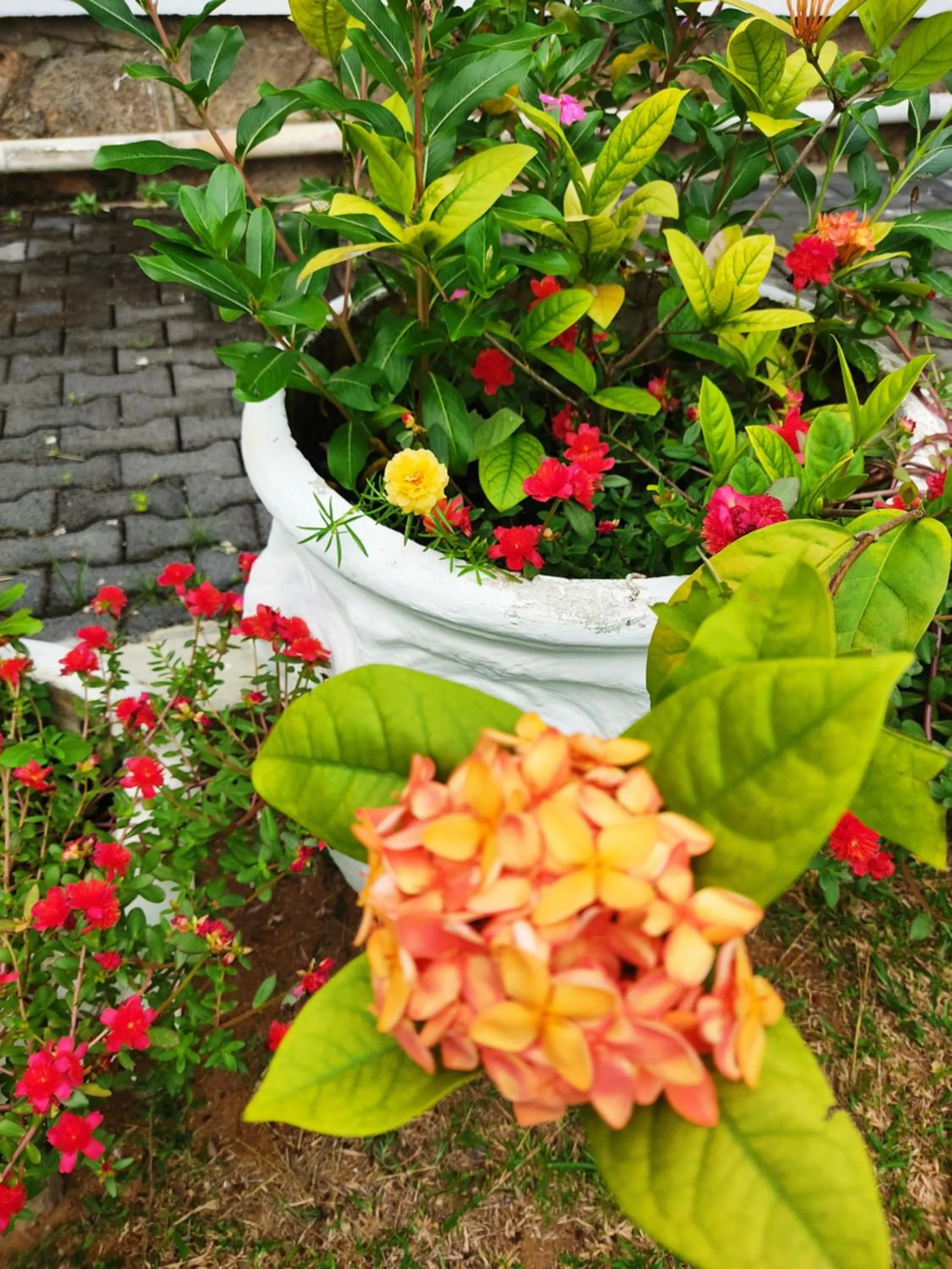 Day in Kanasuk Self catering Apartments