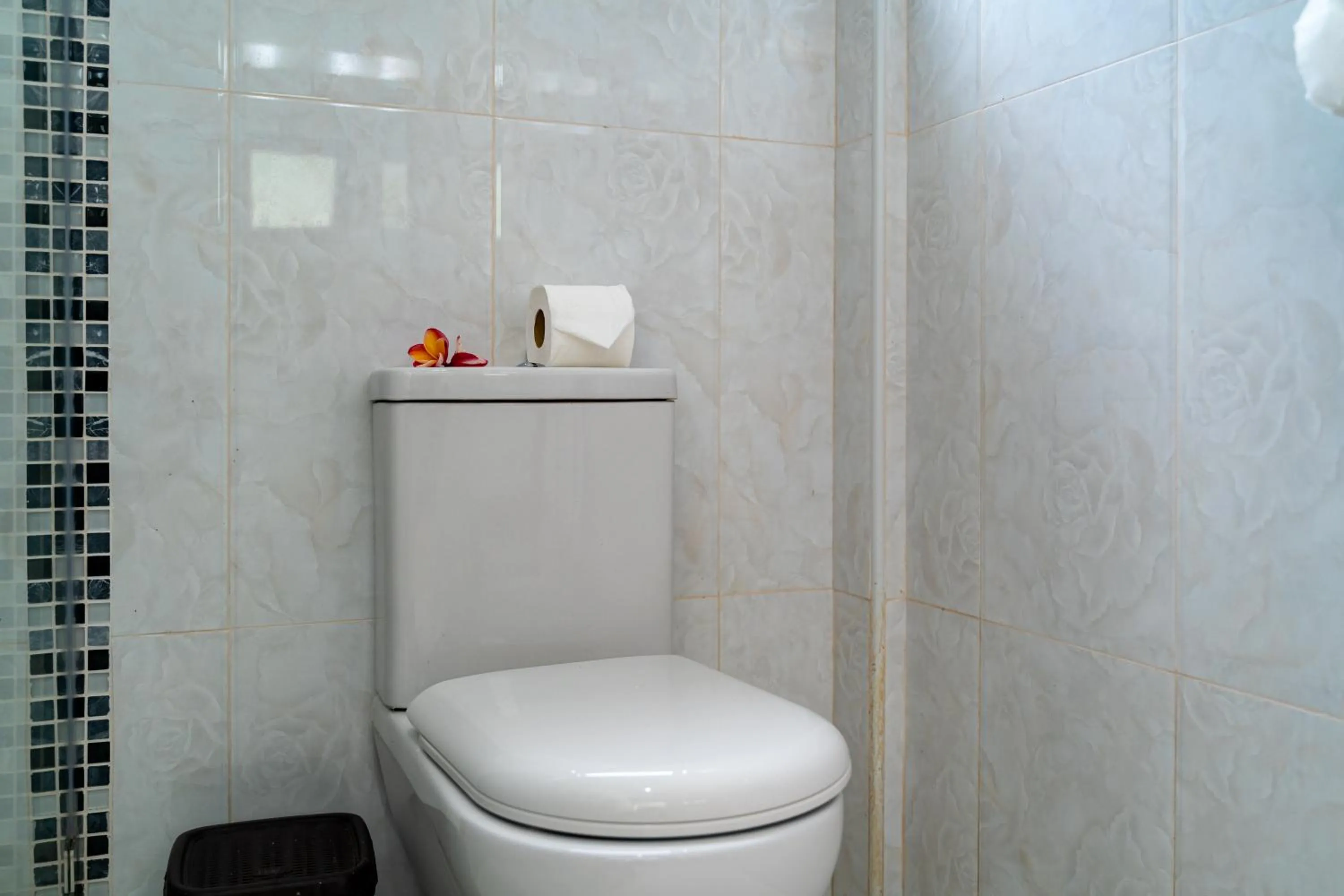 Toilet in Kanasuk Self catering Apartments
