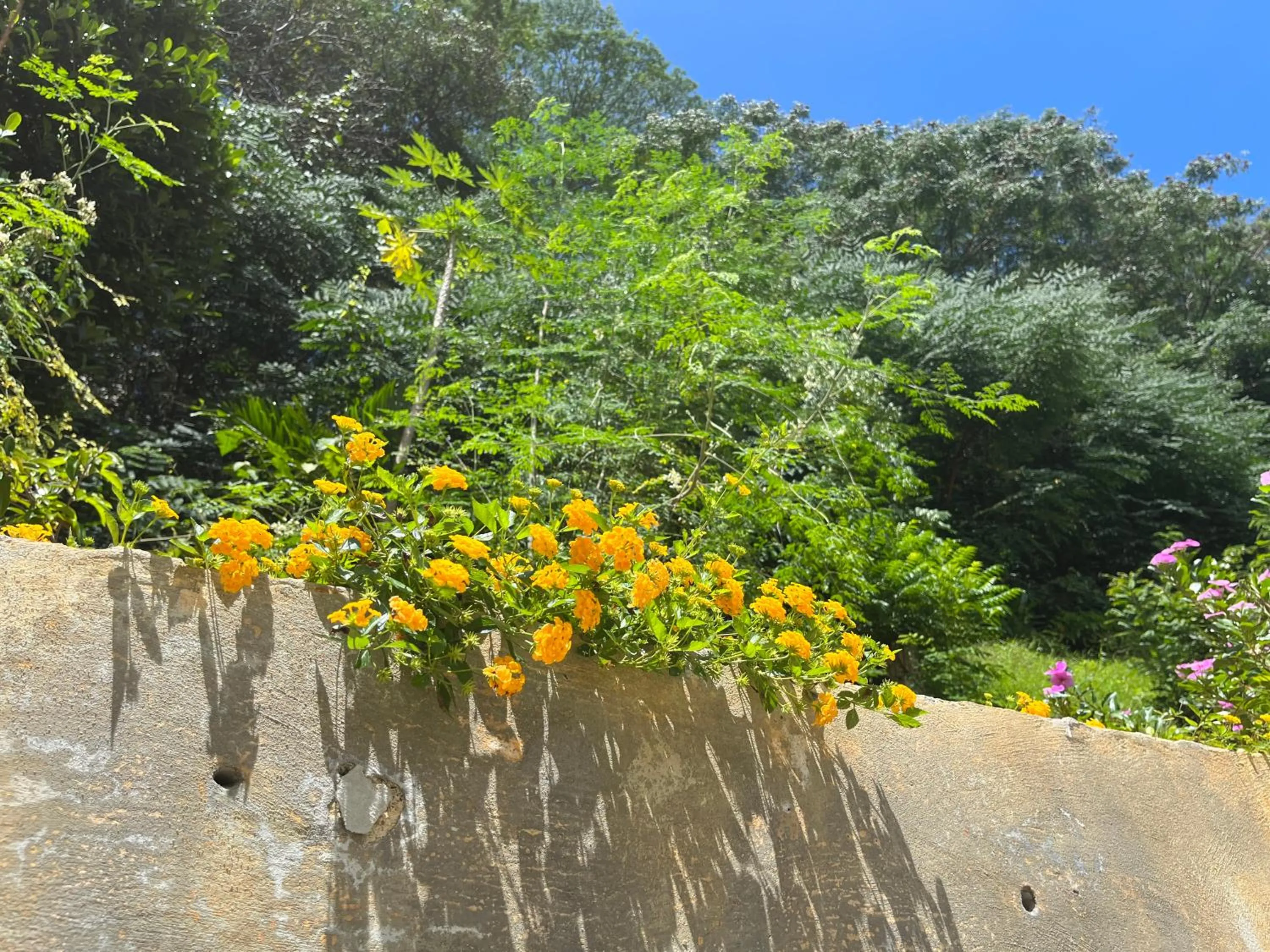 Garden view in Kanasuk Self catering Apartments
