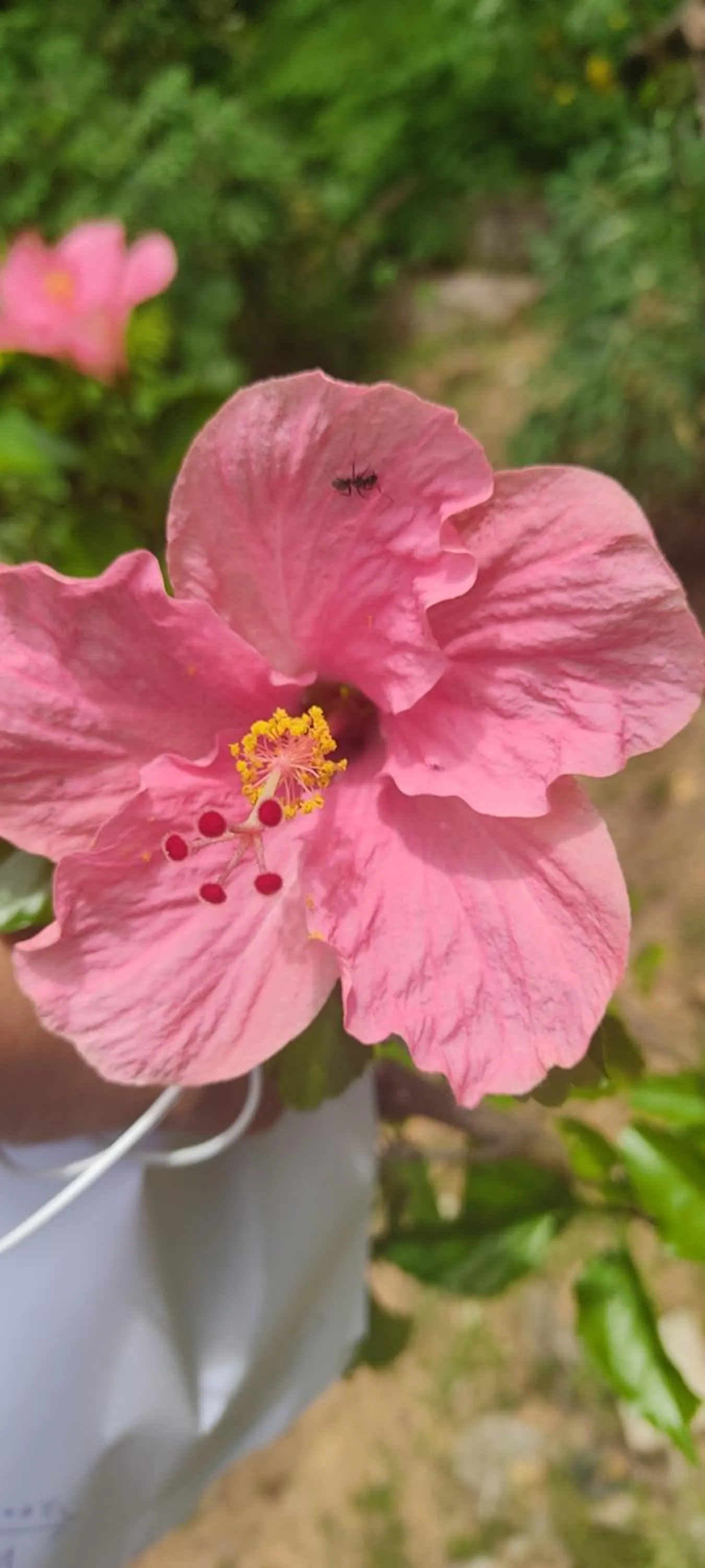 Natural landscape in Kanasuk Self catering Apartments