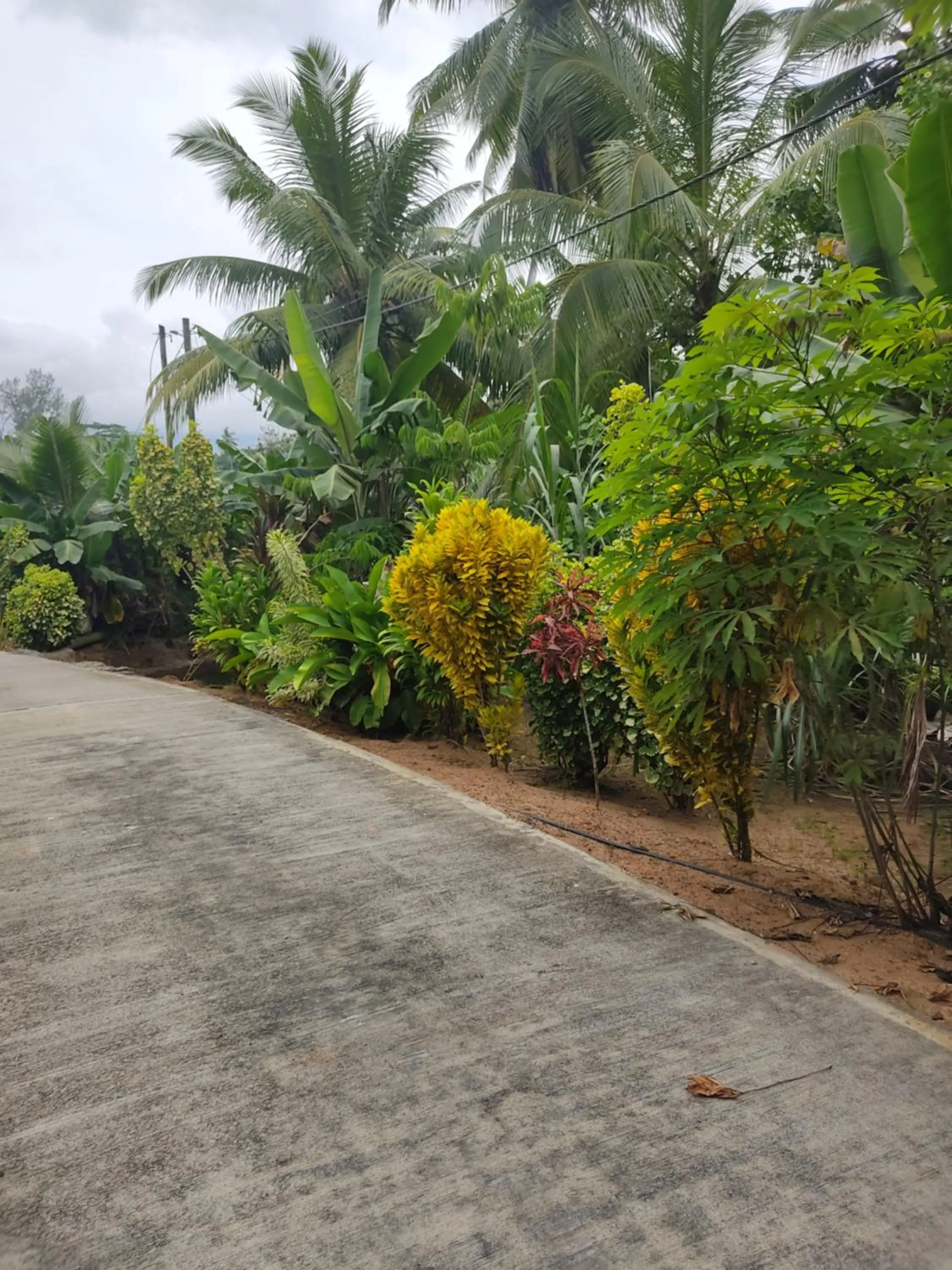 Garden in Kanasuk Self catering Apartments