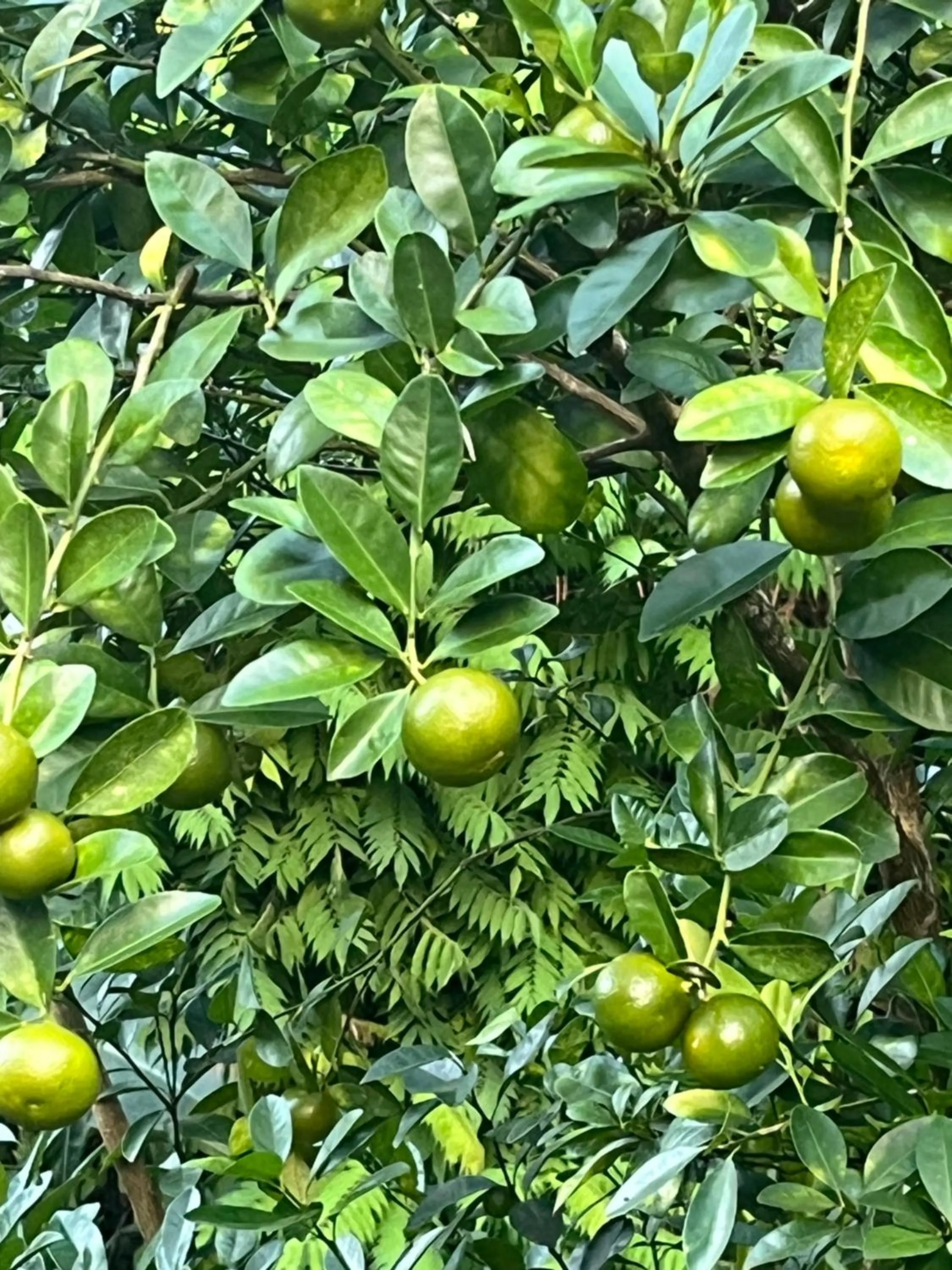 Natural landscape in Kanasuk Self catering Apartments