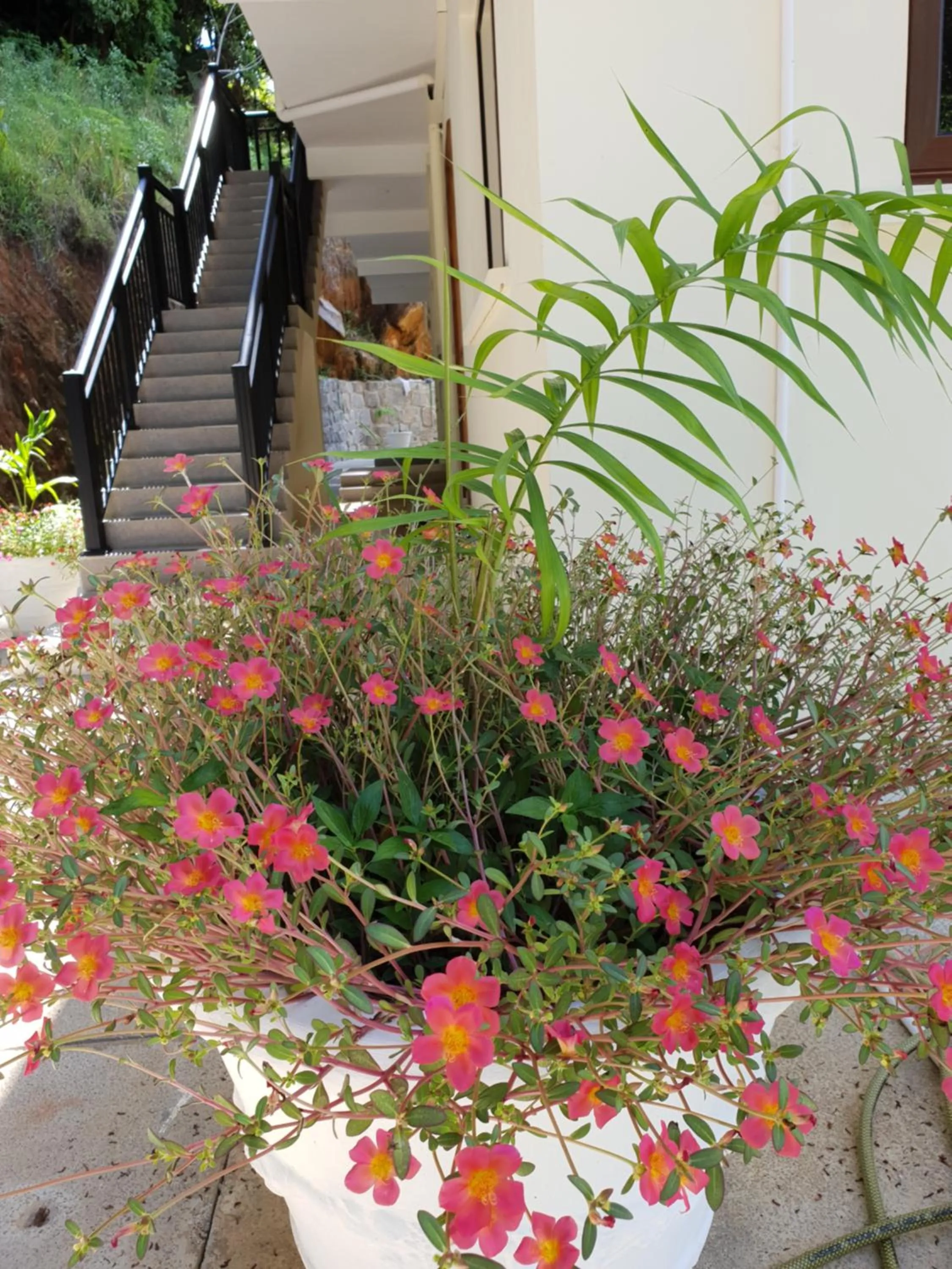 Spring in Kanasuk Self catering Apartments