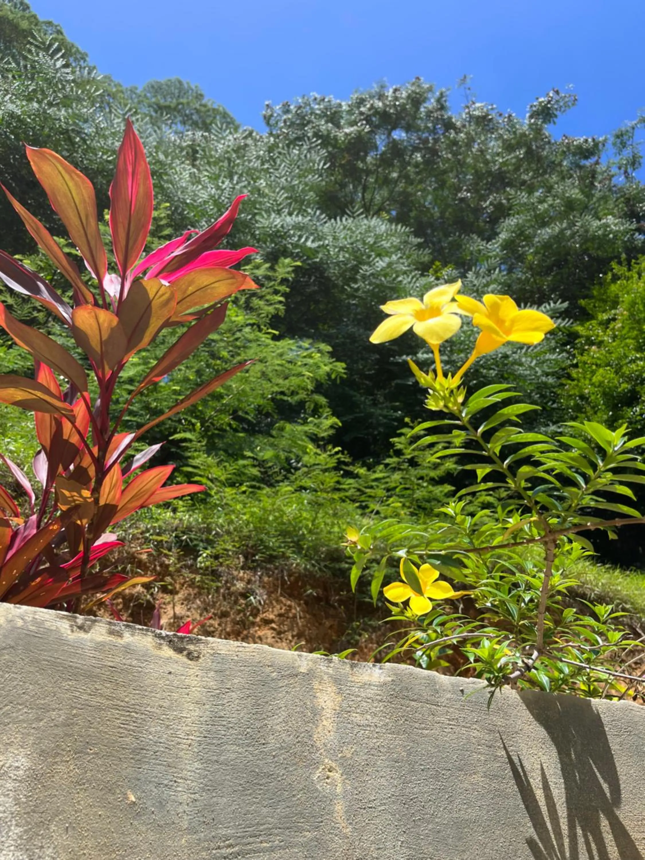 Garden in Kanasuk Self catering Apartments