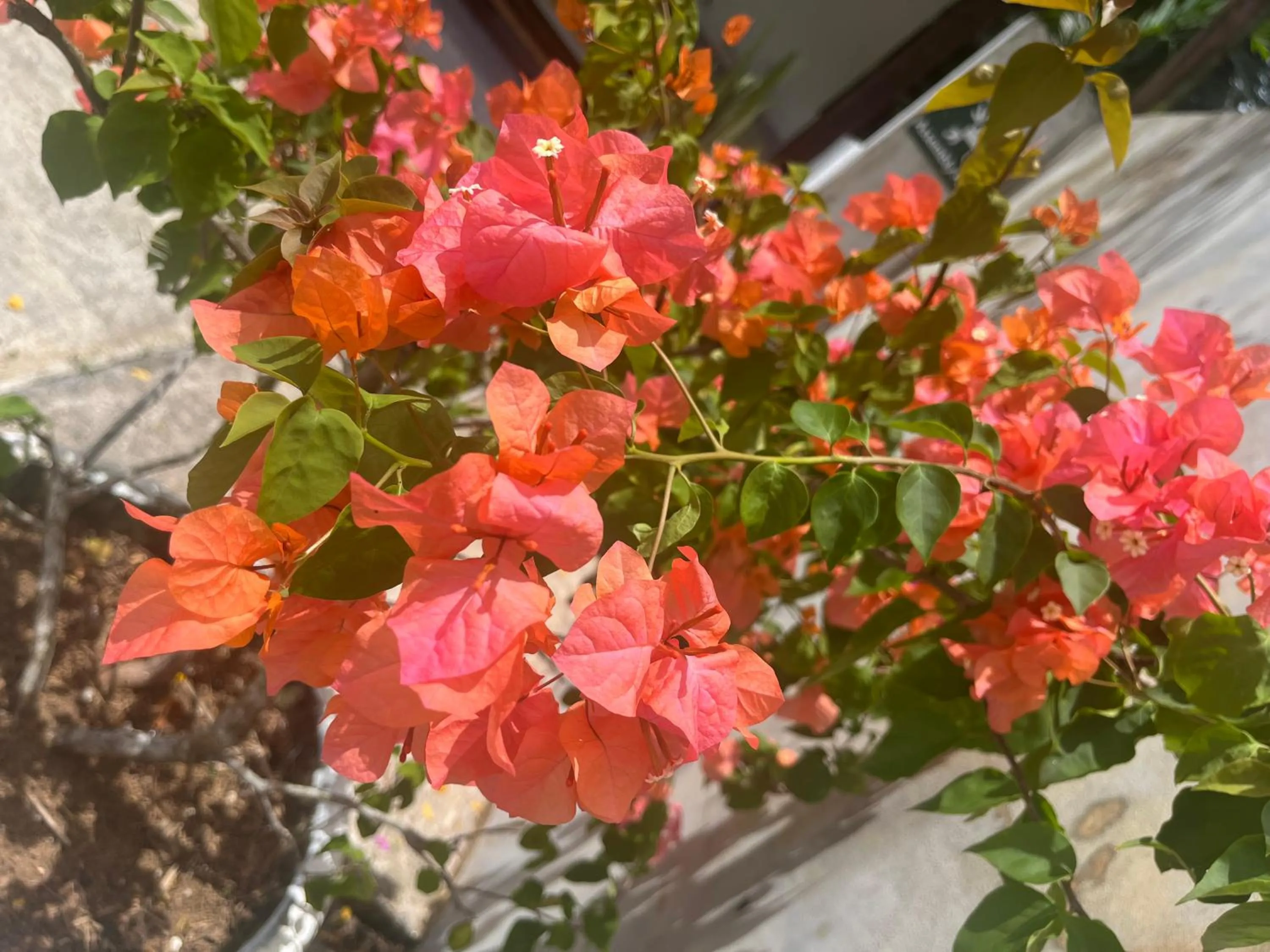 Day in Kanasuk Self catering Apartments