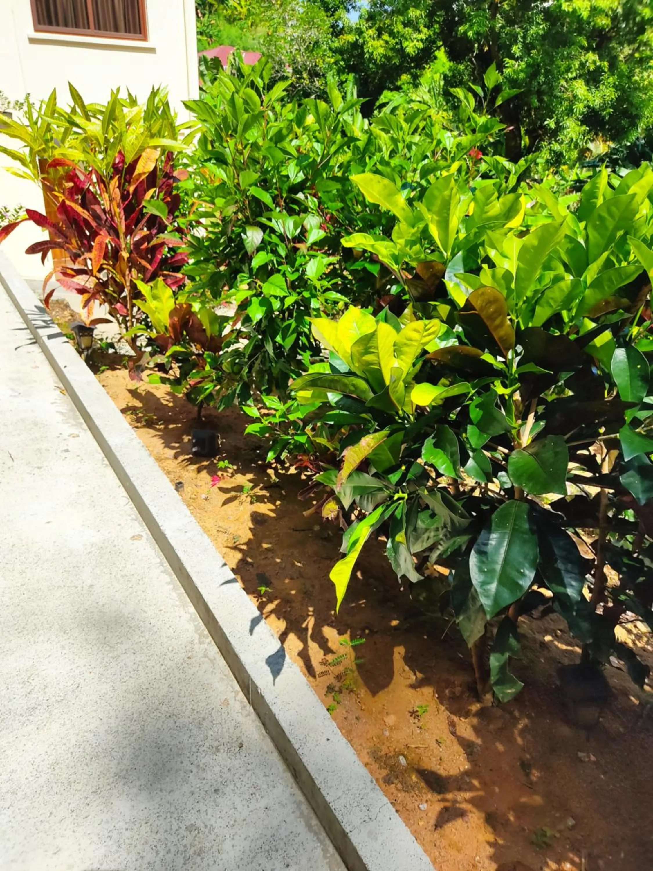 Garden in Kanasuk Self catering Apartments