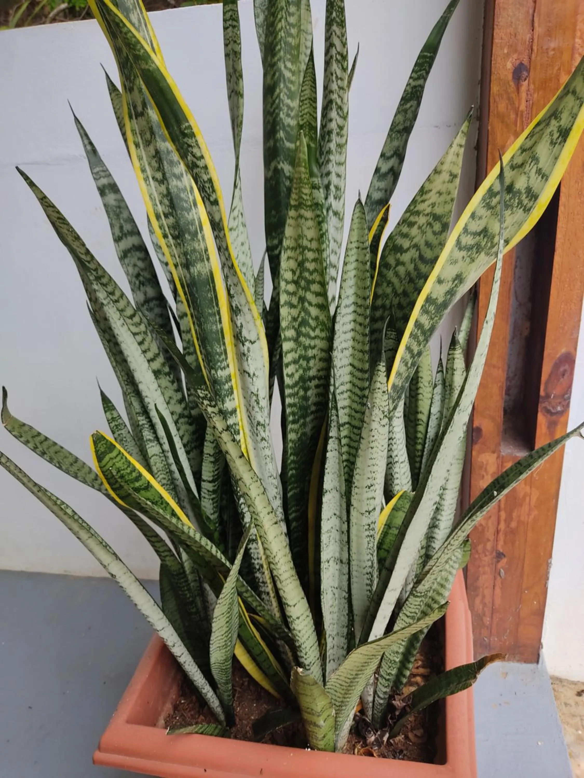 Garden in Kanasuk Self catering Apartments