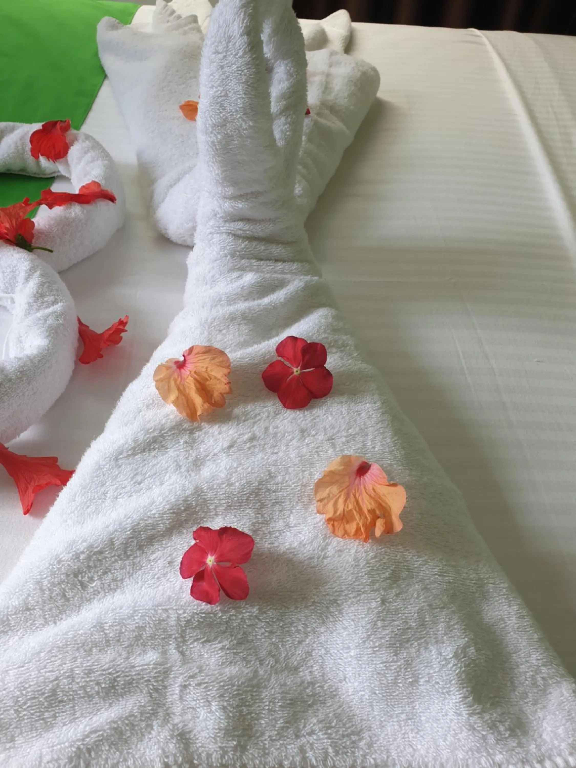 Bed in Kanasuk Self catering Apartments