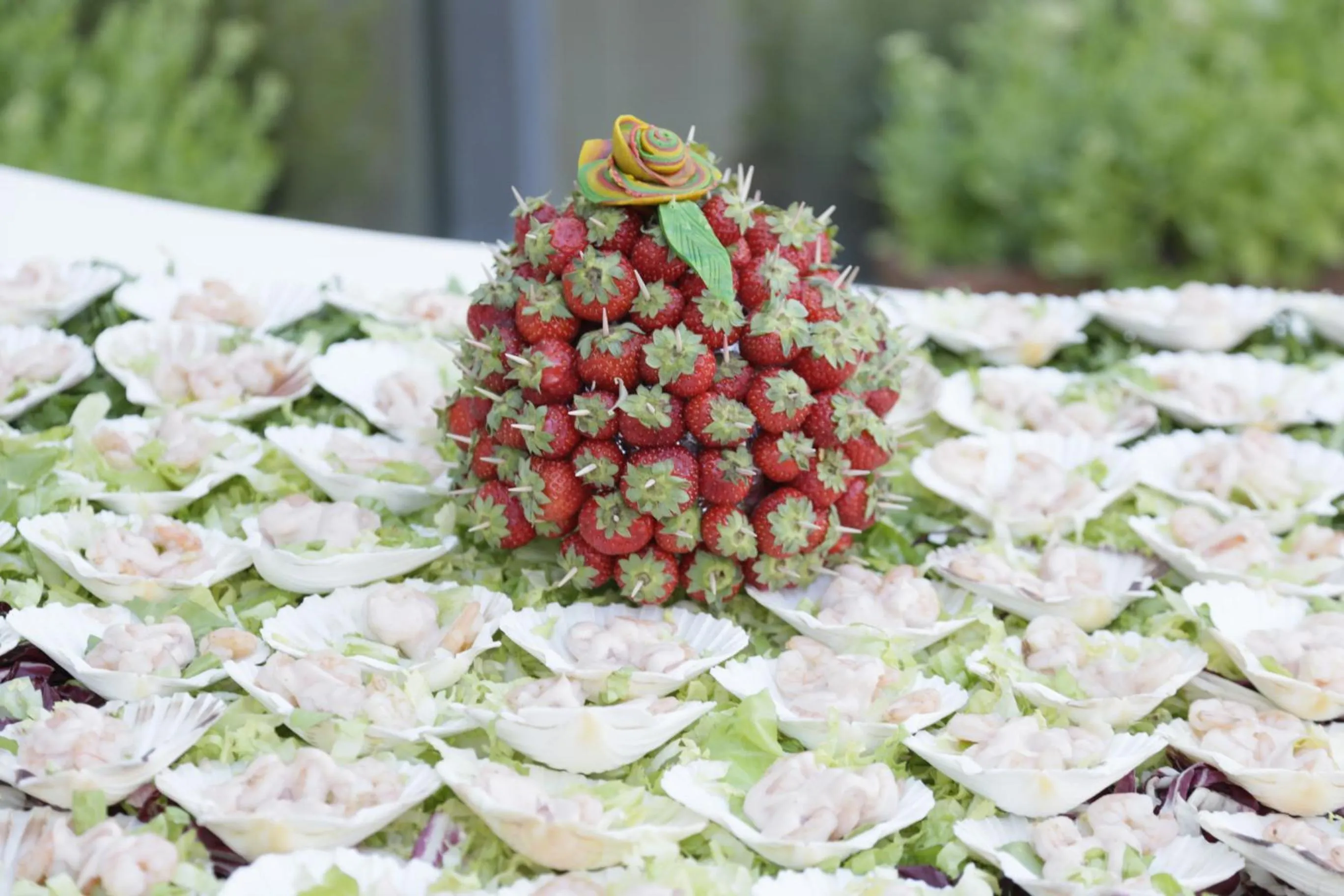 Garden in Hotel Bristol