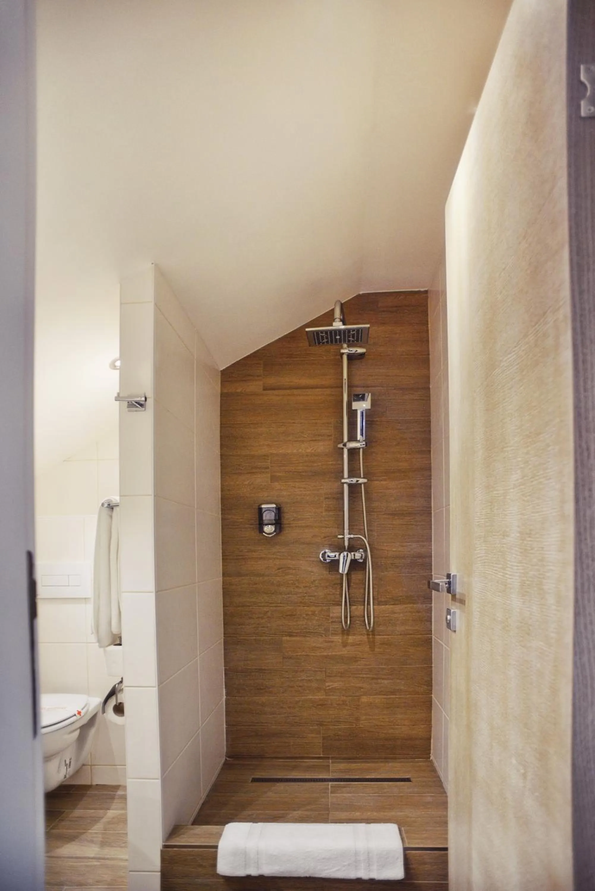 Shower in Hotel Ideja