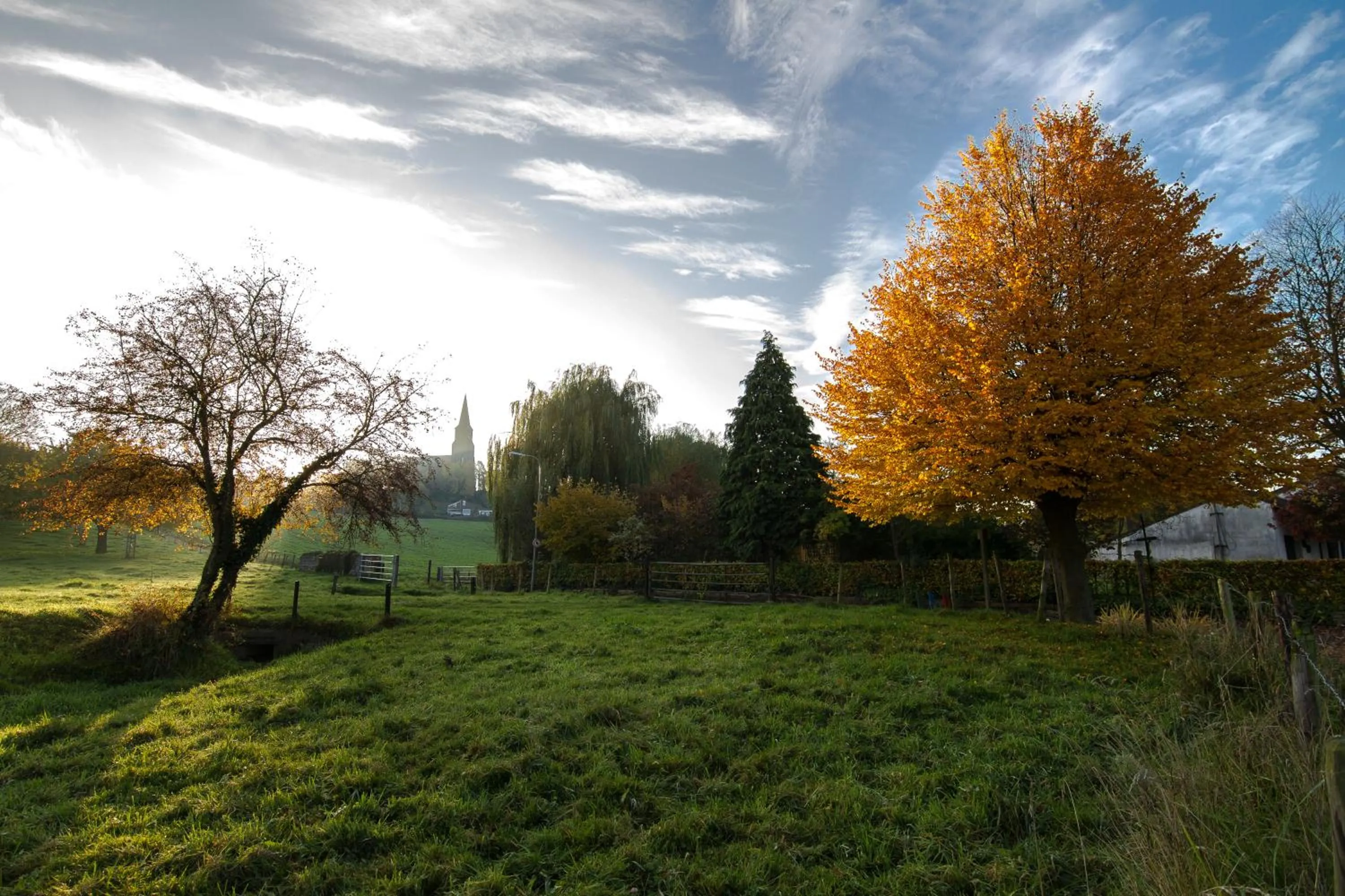 Day in Hotel Cuba Libre