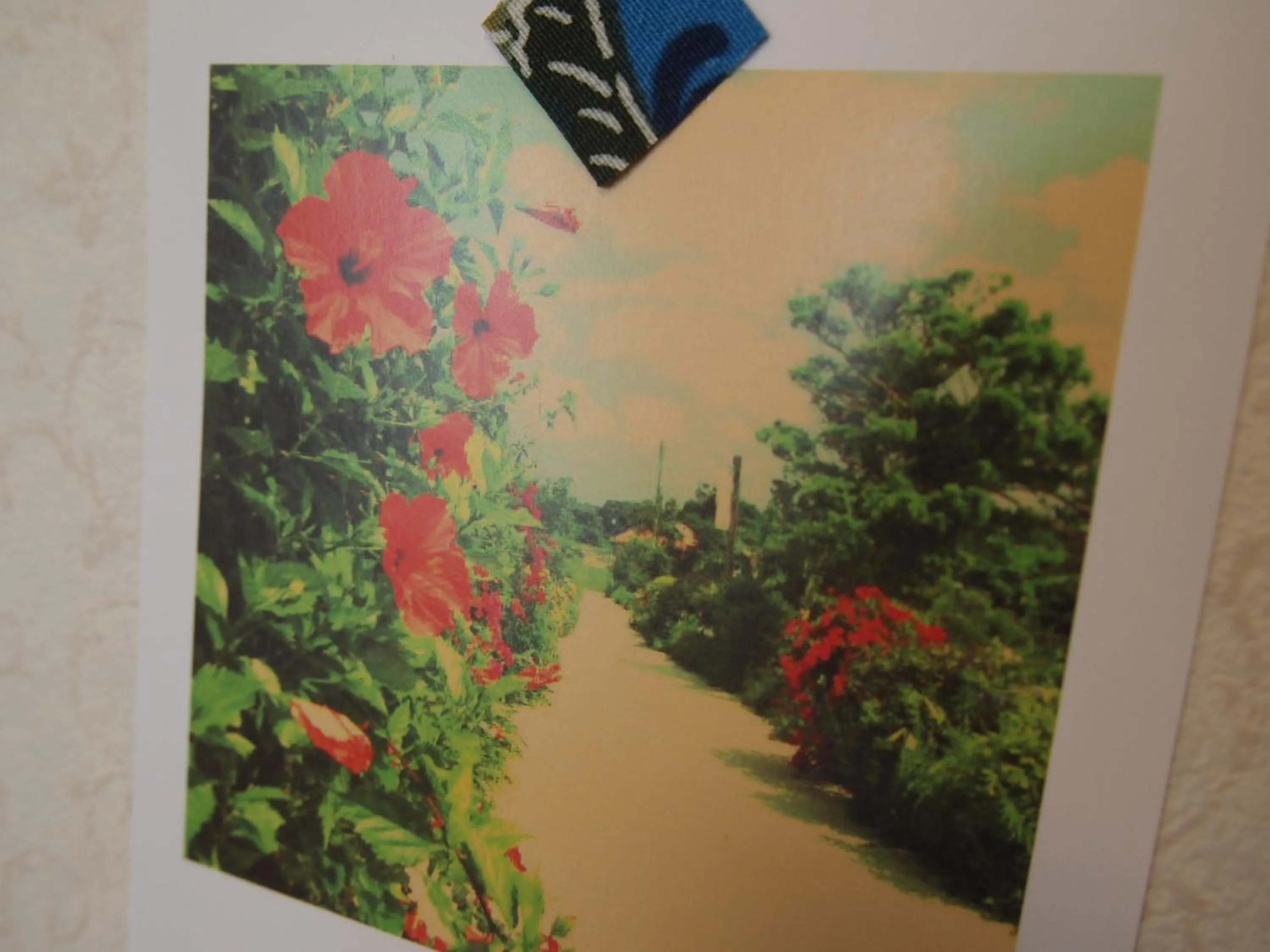 Decorative detail in Ishigakijima Hotel Olive