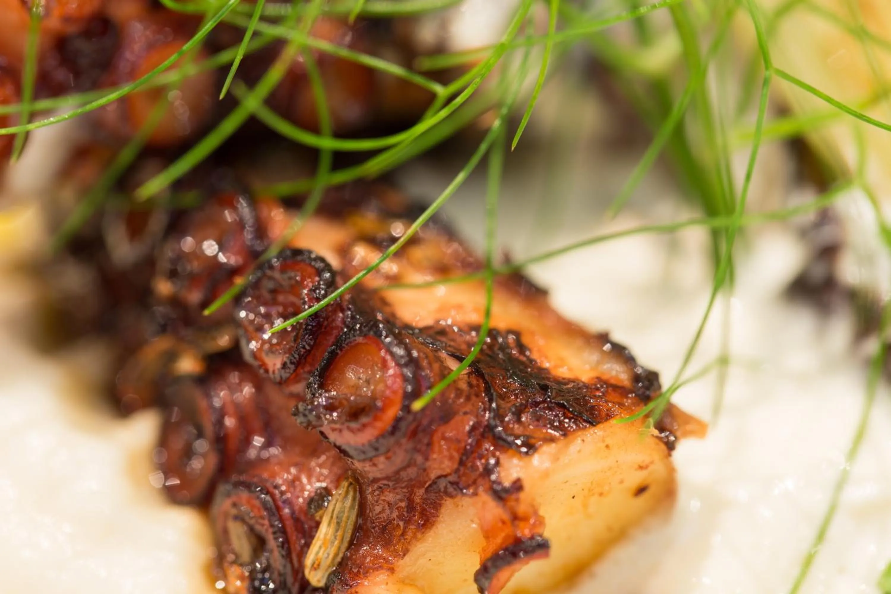 Restaurant/places to eat in Rooms Villa Amfora Dubrovnik