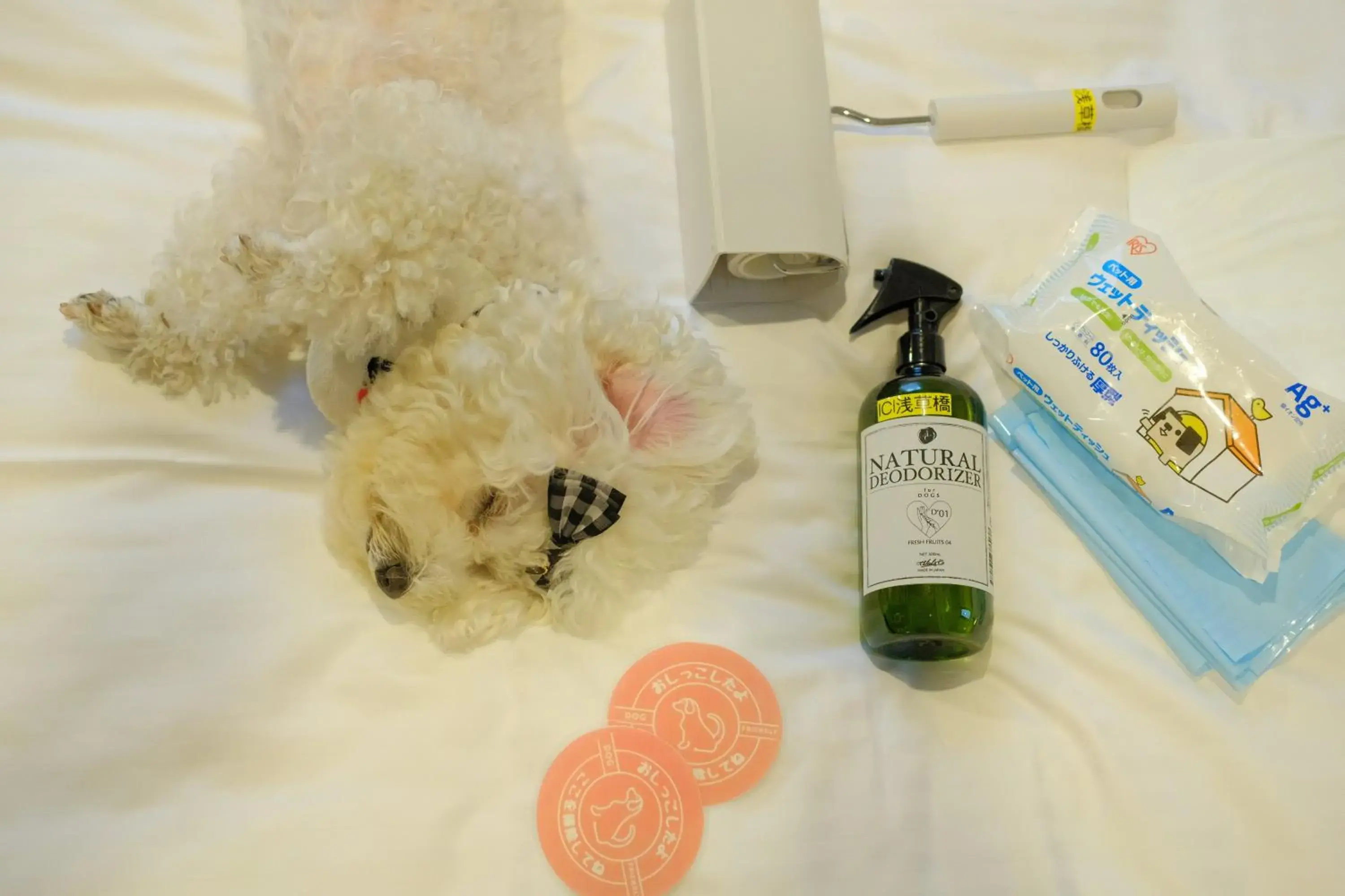 Dog-Friendly - Deluxe Twin Room - Non-Smoking (For One Dog) in ICI HOTEL Asakusabashi Dog-Friendly - Deluxe Twin Room - Non-Smoking (For One Dog) in ICI HOTEL Asakusabashi