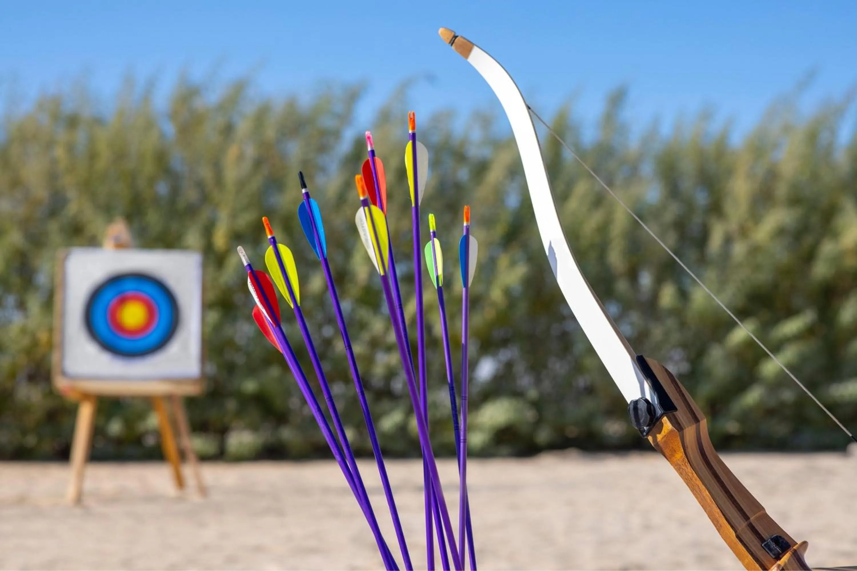 Other in Al Wathba, a Luxury Collection Desert Resort & Spa, Abu Dhabi