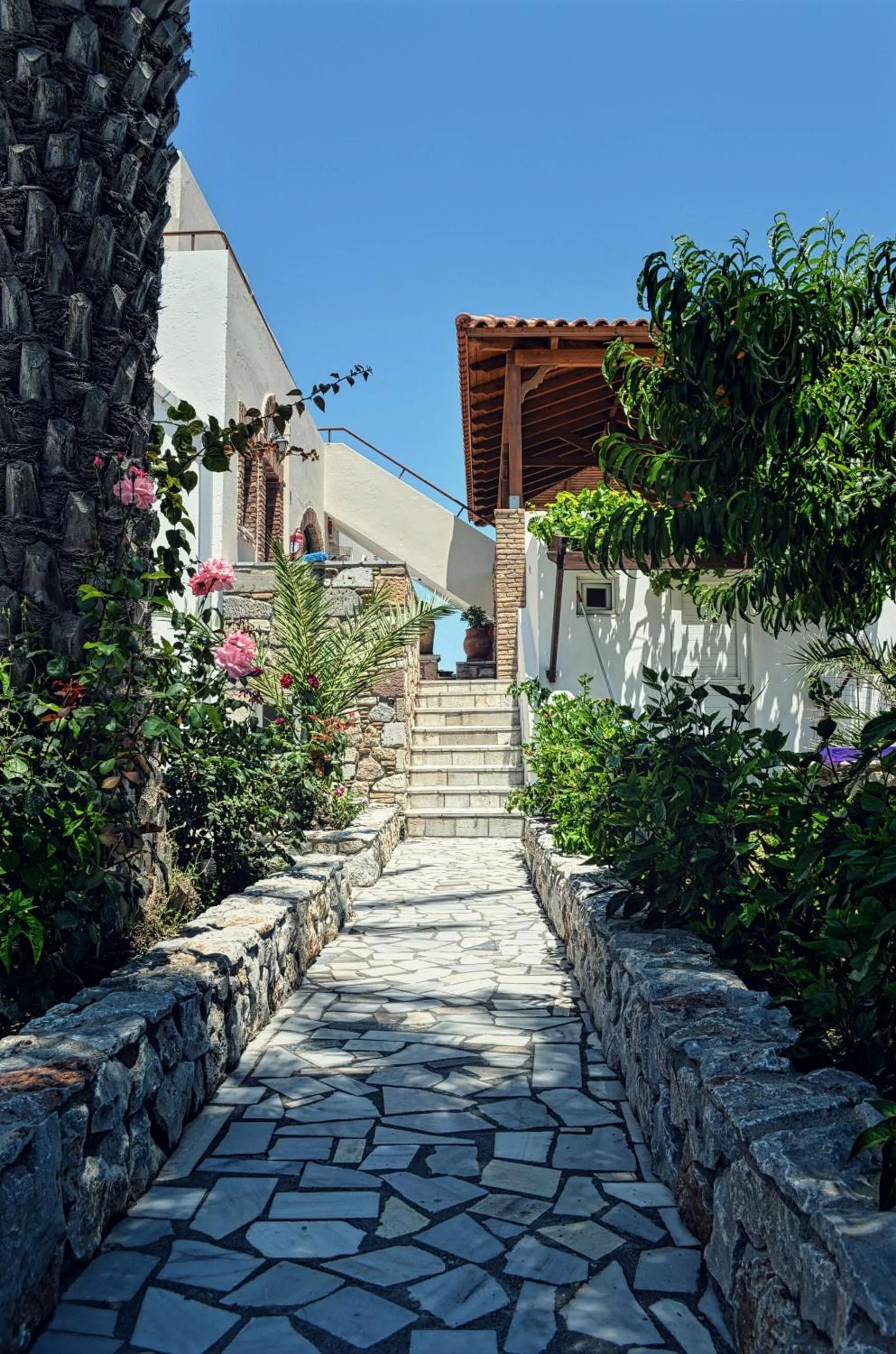 Day in Panorama Studios