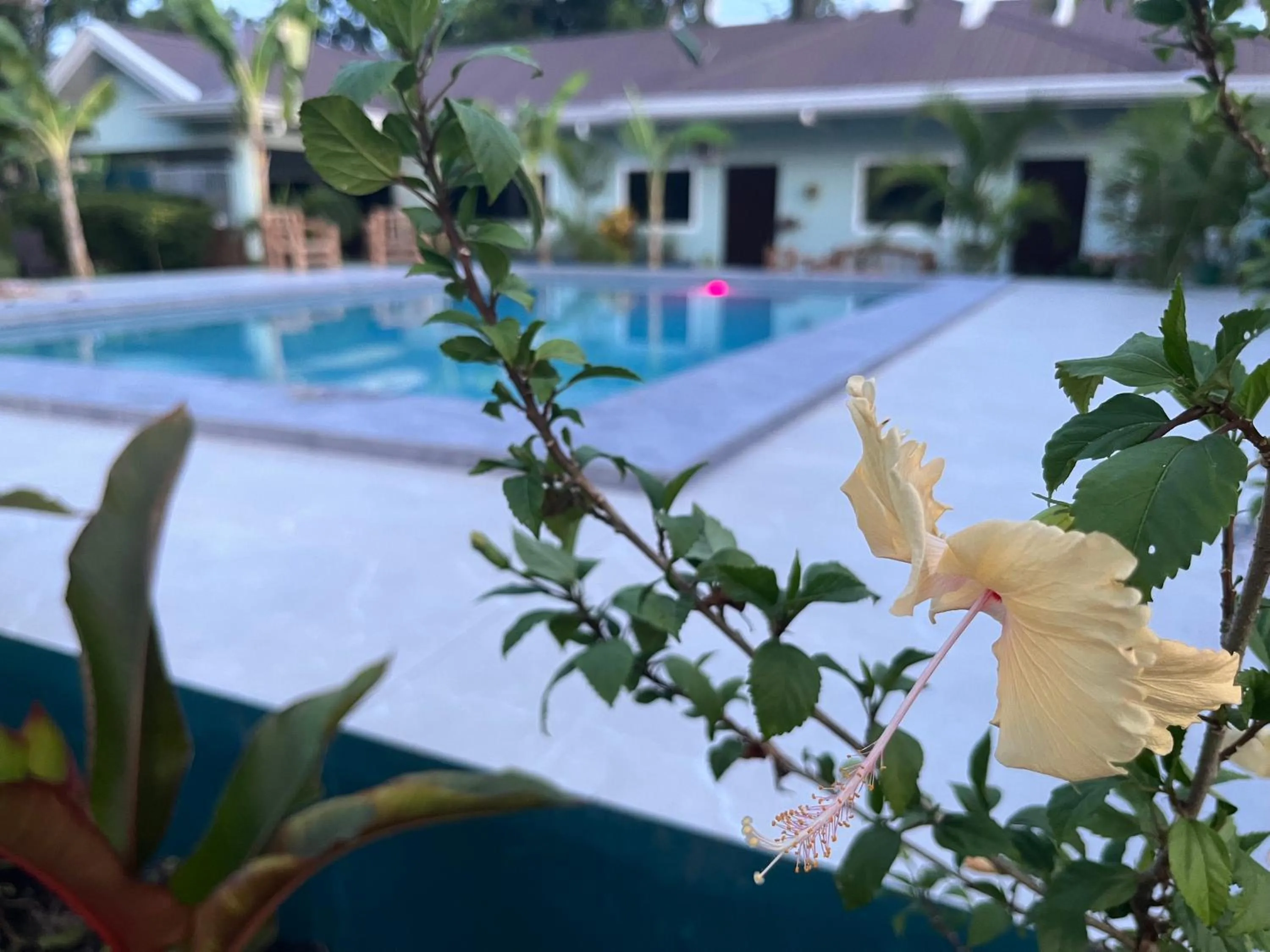 Pool view in Vailtin Home Point