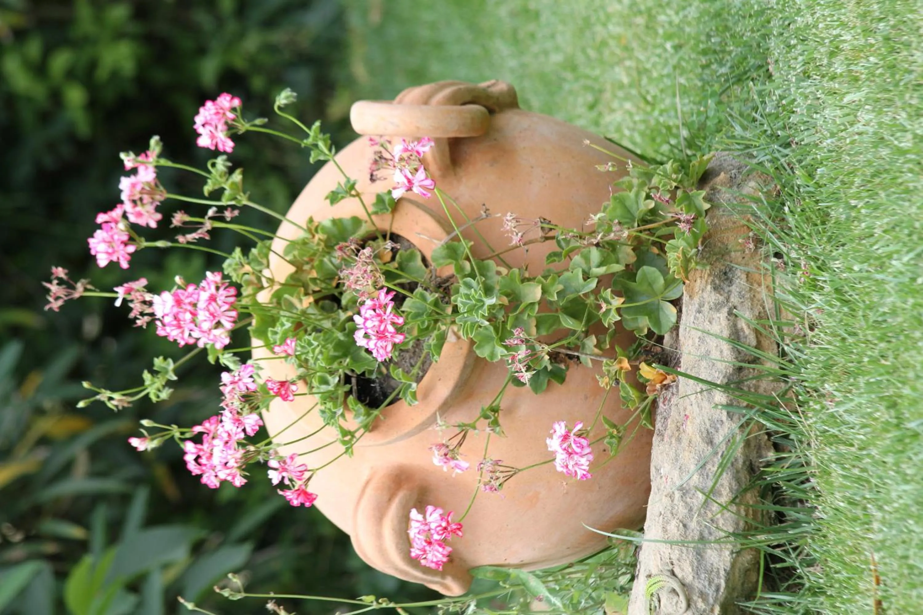Decorative detail in Villa Clementine