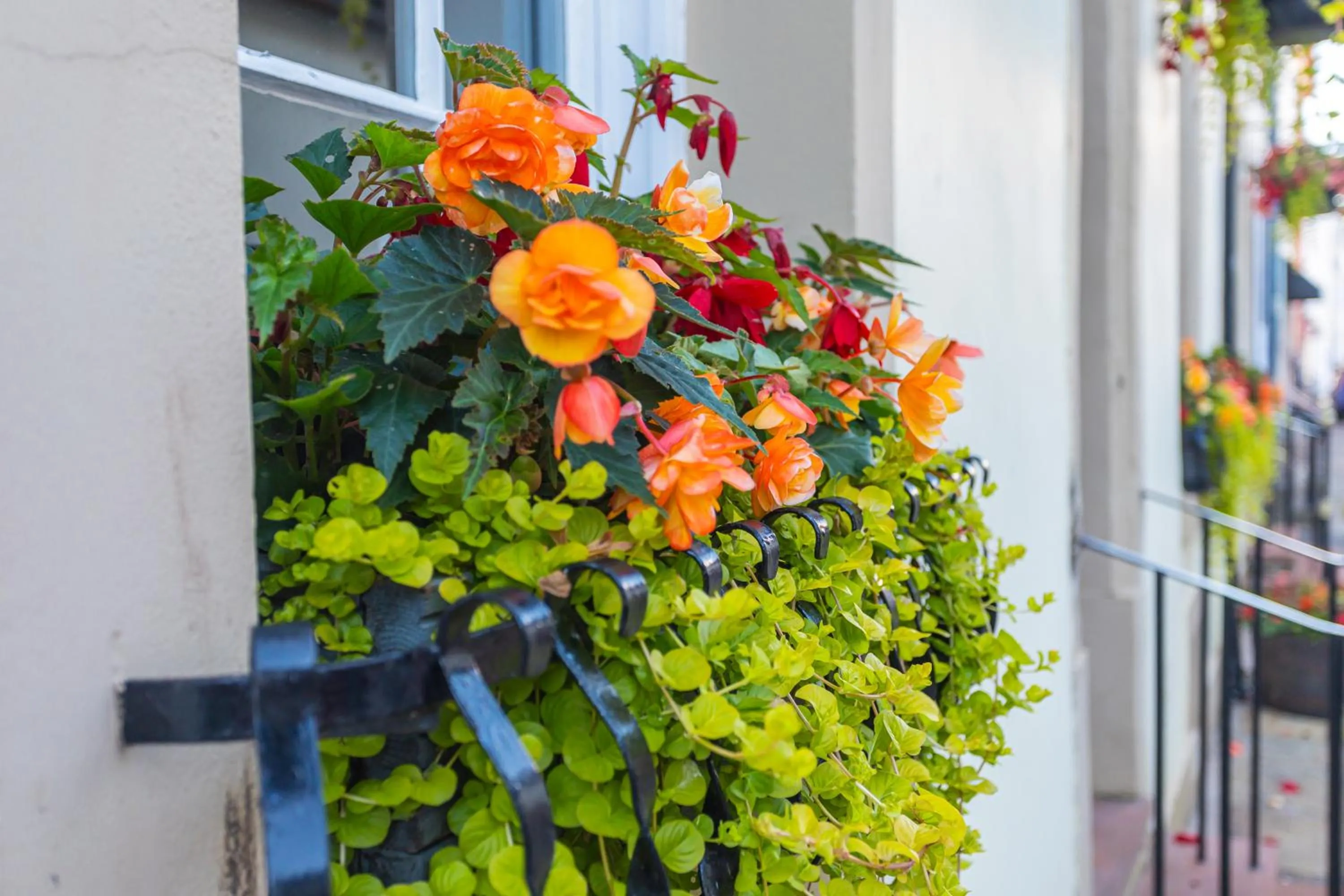 Property building in Georgian House Hotel