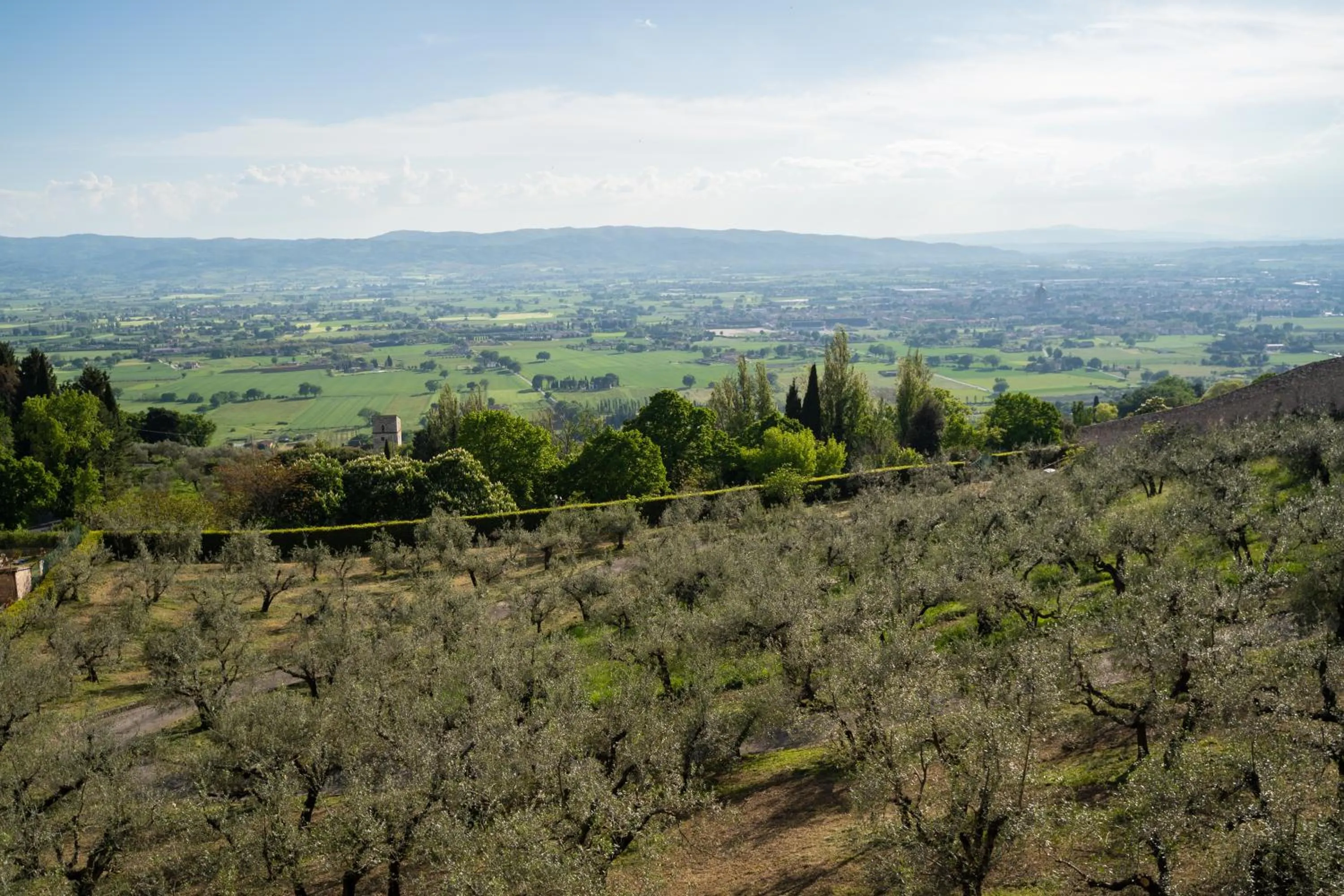 View (from property/room) in Hotel Belvedere