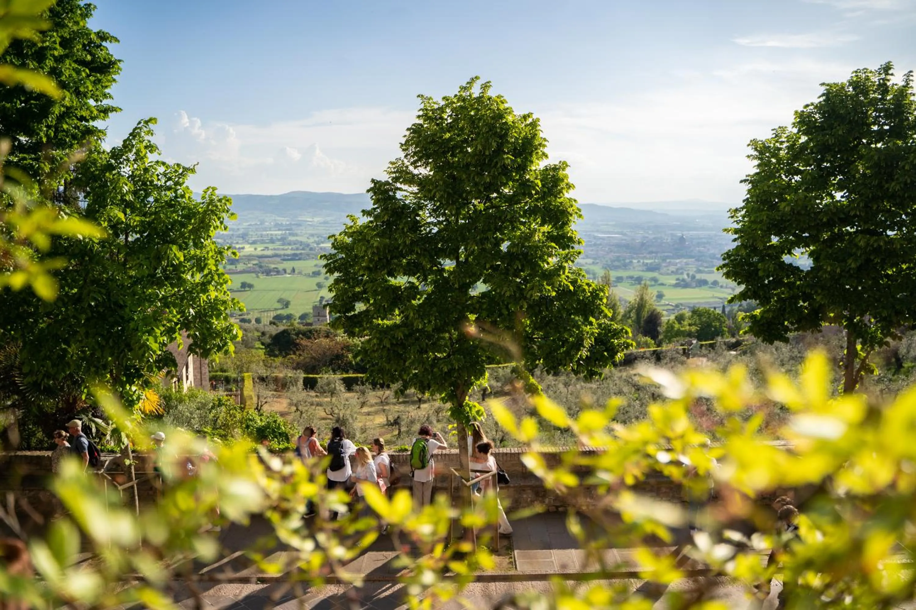 Balcony/Terrace in Hotel Belvedere