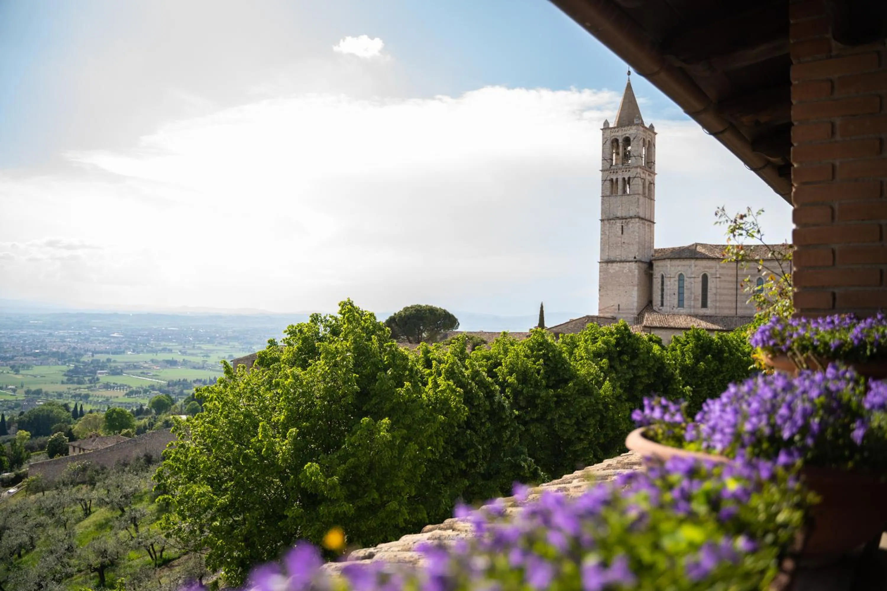 View (from property/room) in Hotel Belvedere