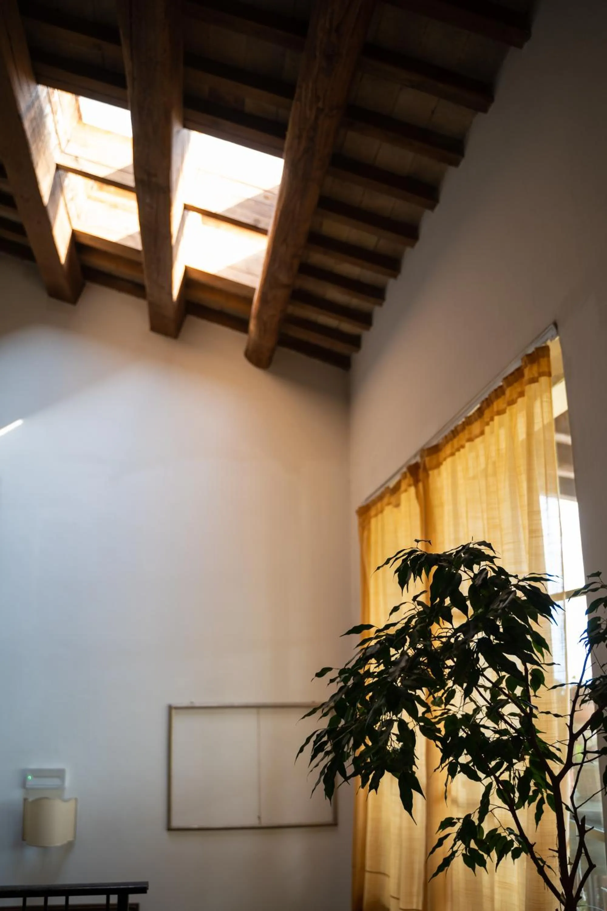 Area and facilities in Hotel Belvedere