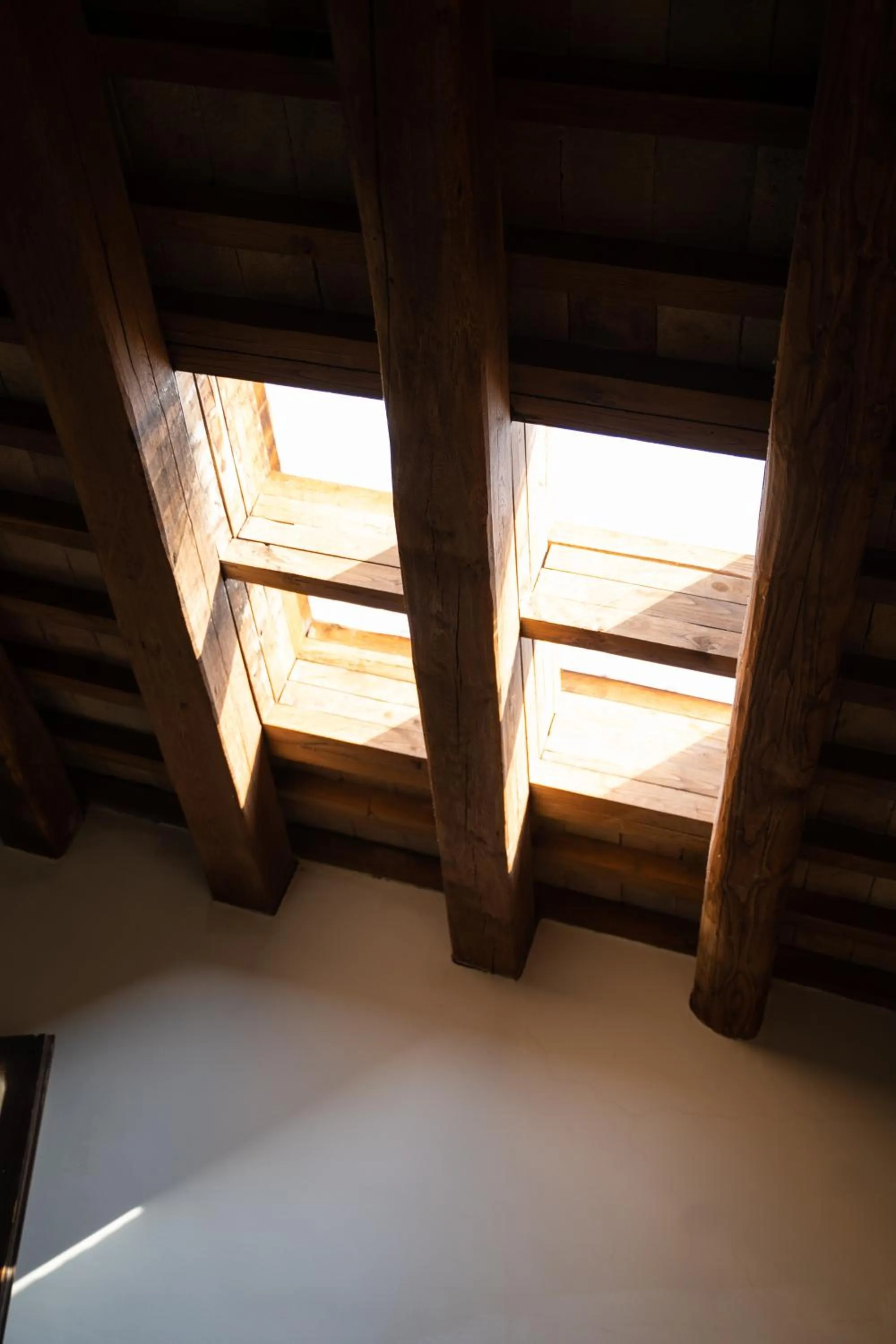 Area and facilities in Hotel Belvedere